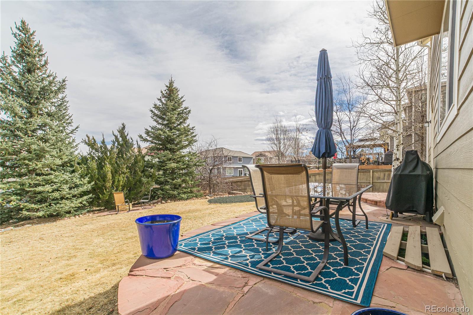 MLS Image #26 for 628  darby court,castle rock, Colorado