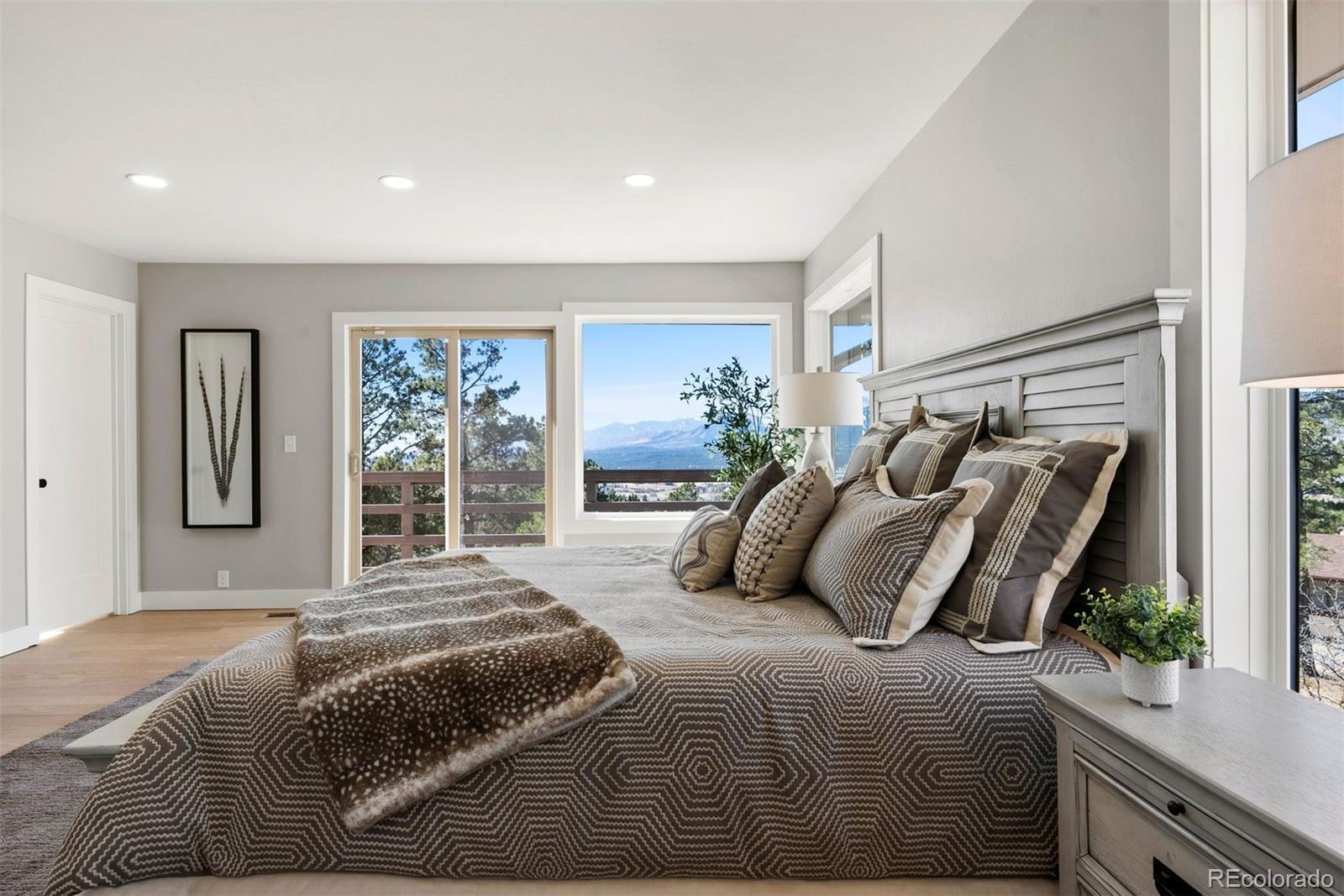 MLS Image #22 for 17235  fairplay drive,monument, Colorado