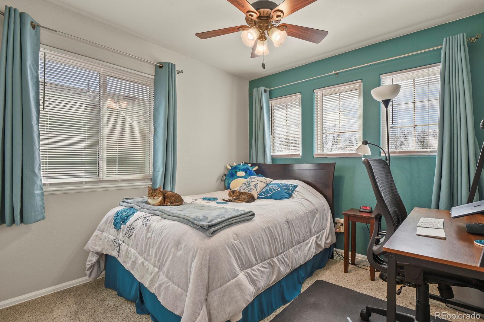 MLS Image #27 for 3265  flying horse road,colorado springs, Colorado