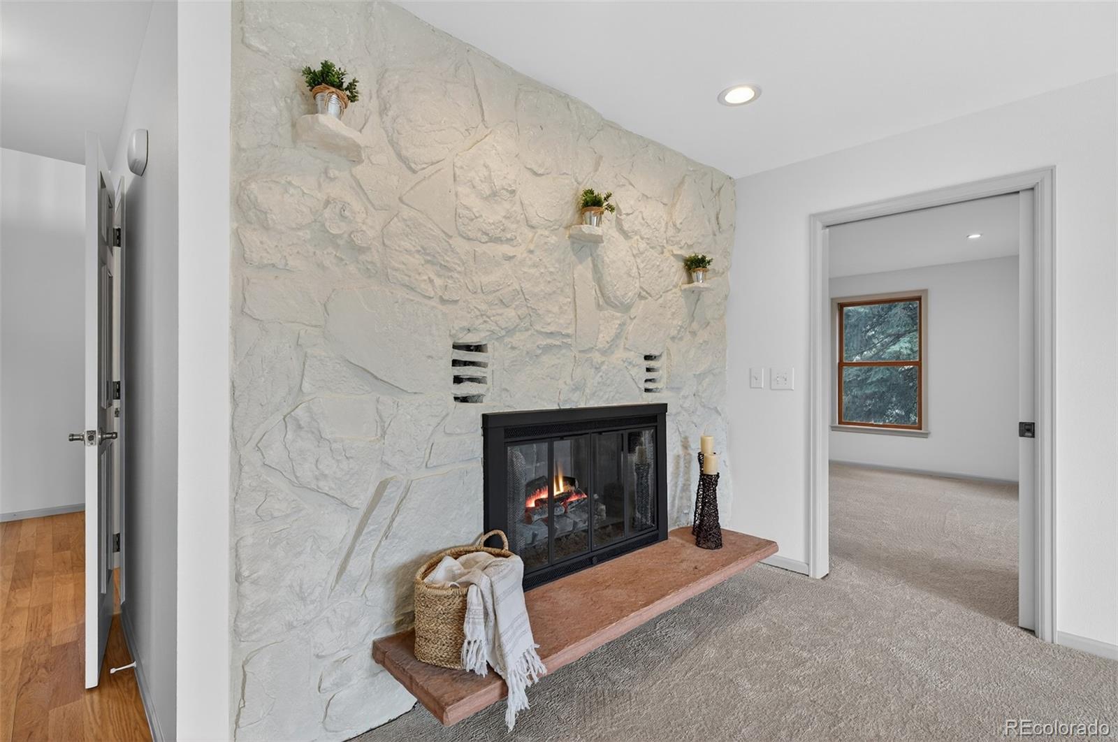 MLS Image #7 for 1  snowy owl lane,littleton, Colorado