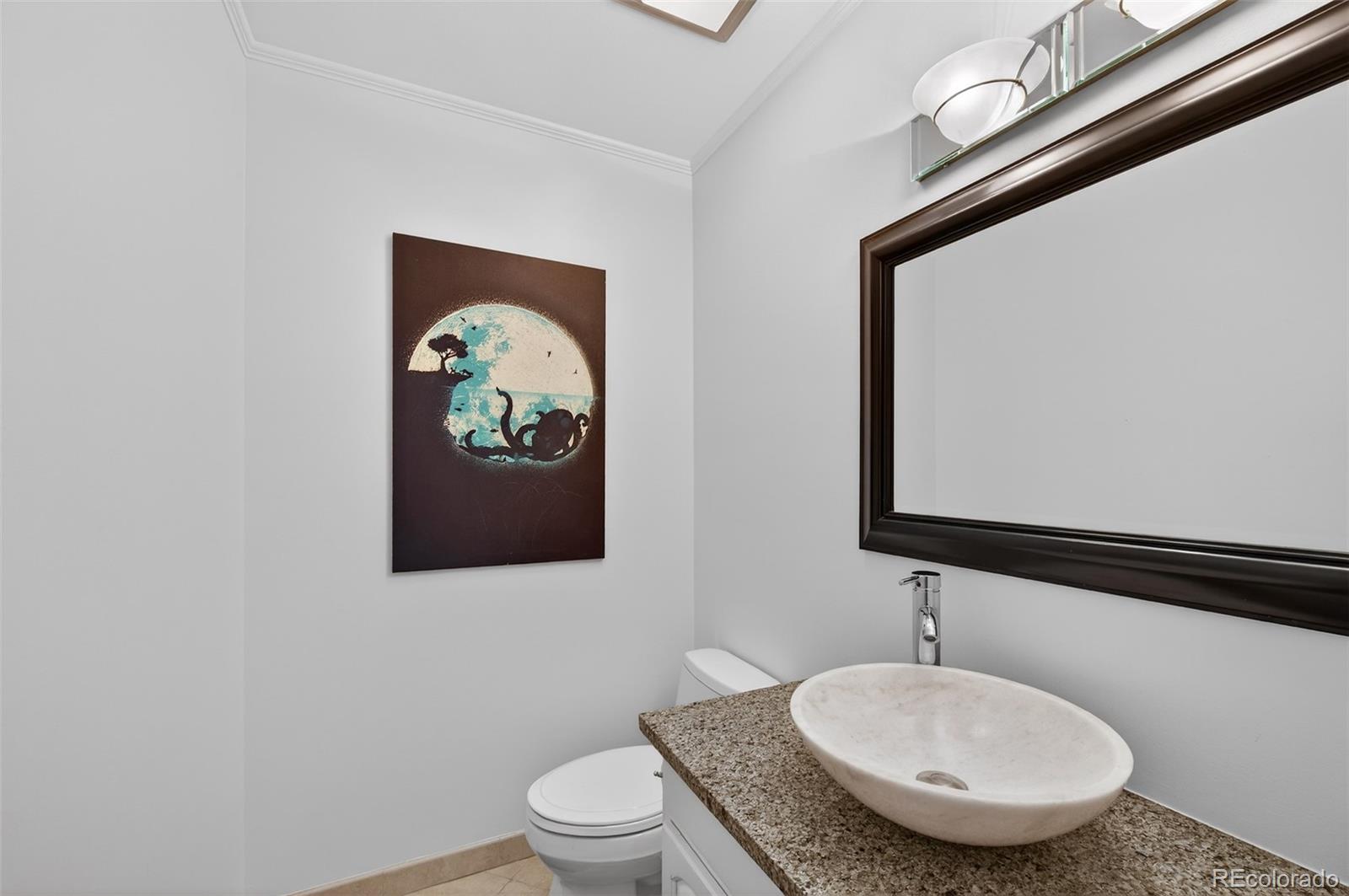 MLS Image #9 for 1  snowy owl lane,littleton, Colorado
