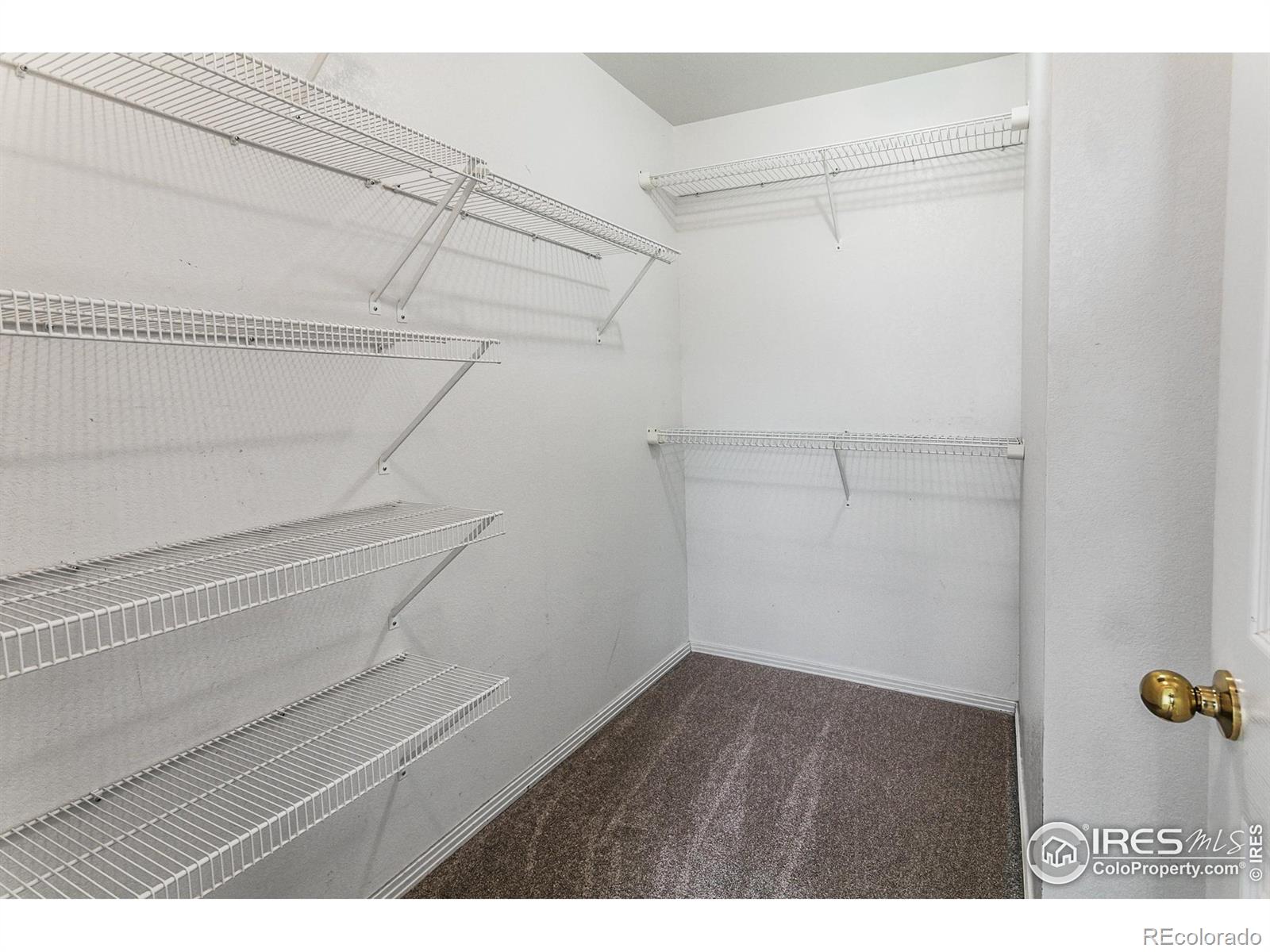 MLS Image #16 for 3002 w elizabeth street,fort collins, Colorado