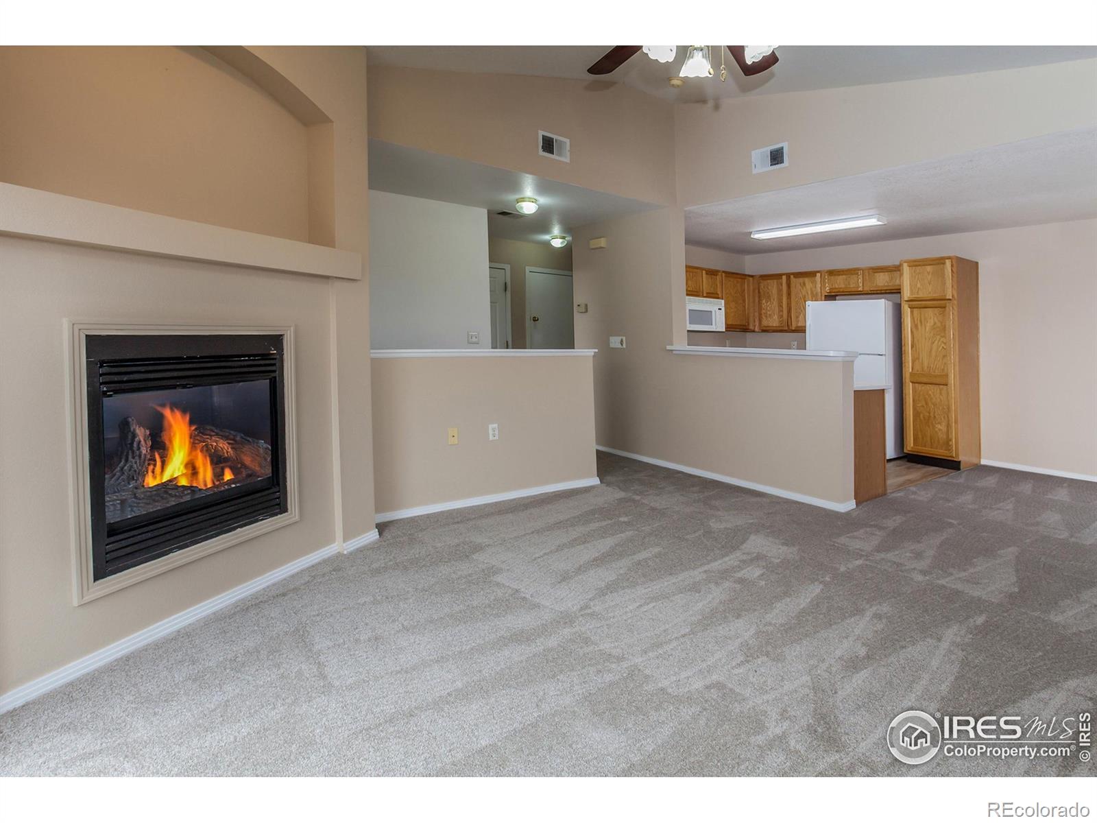 MLS Image #5 for 3002 w elizabeth street,fort collins, Colorado
