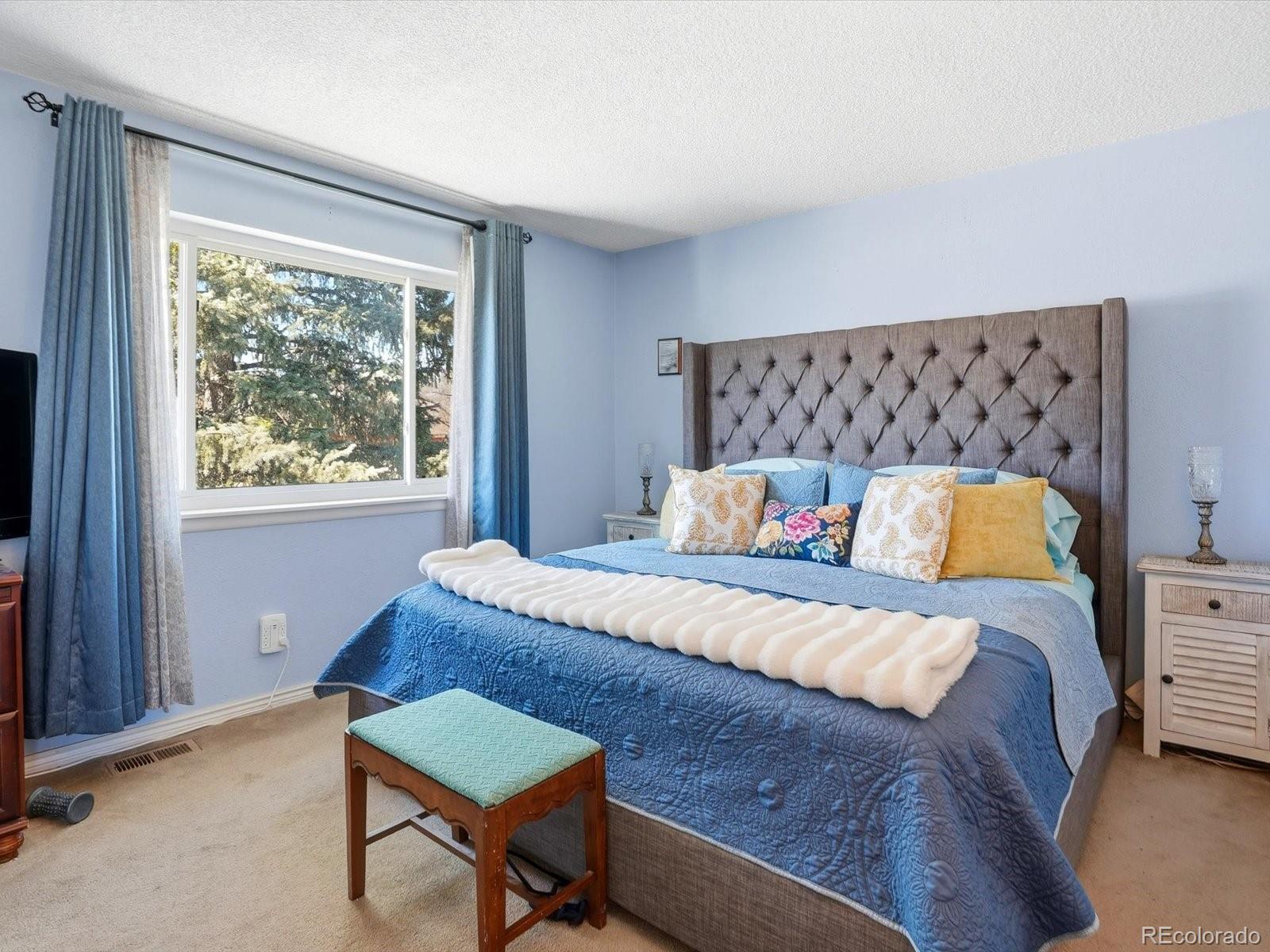 MLS Image #15 for 8727  flower court,arvada, Colorado
