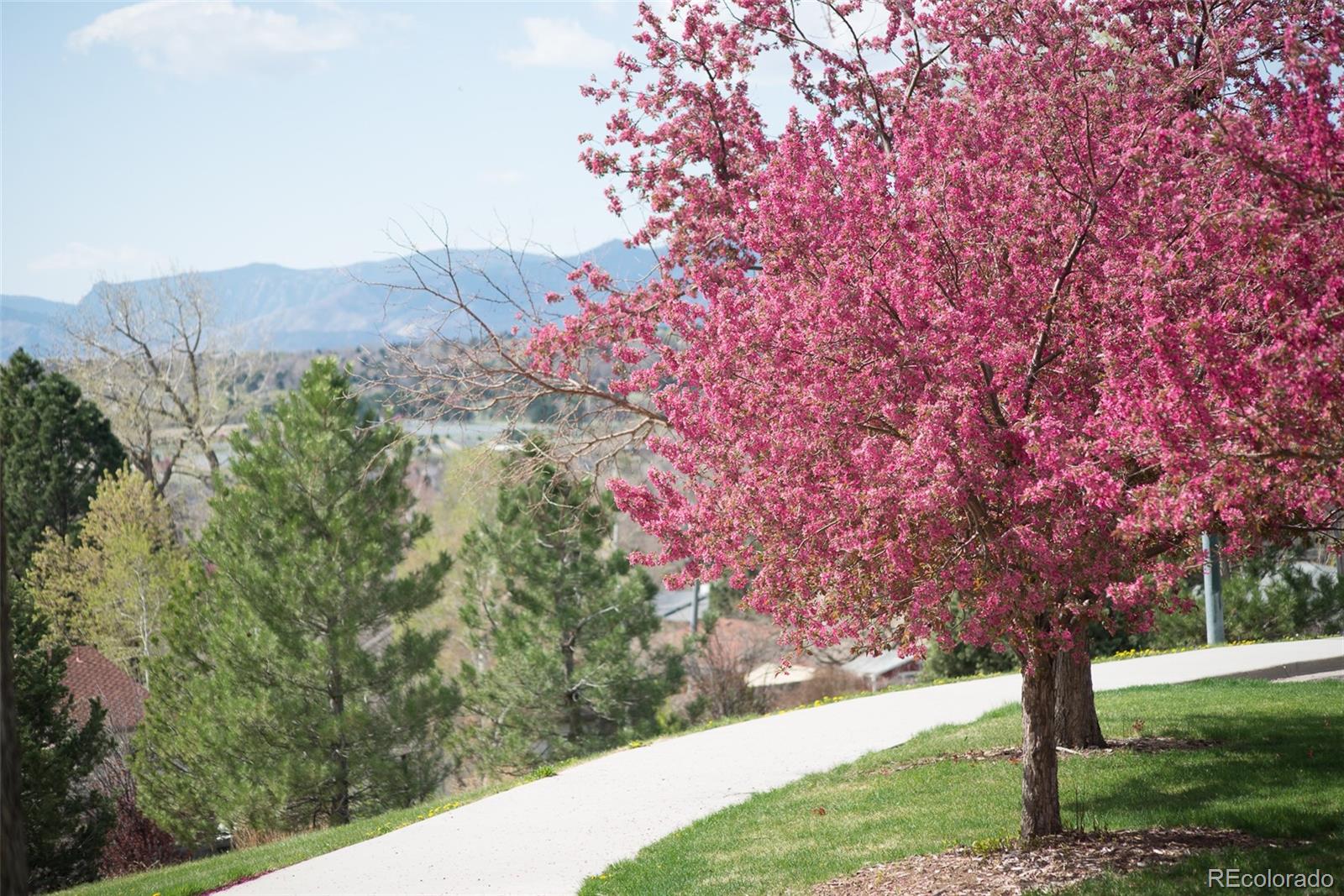 MLS Image #36 for 2240 s irving street,denver, Colorado