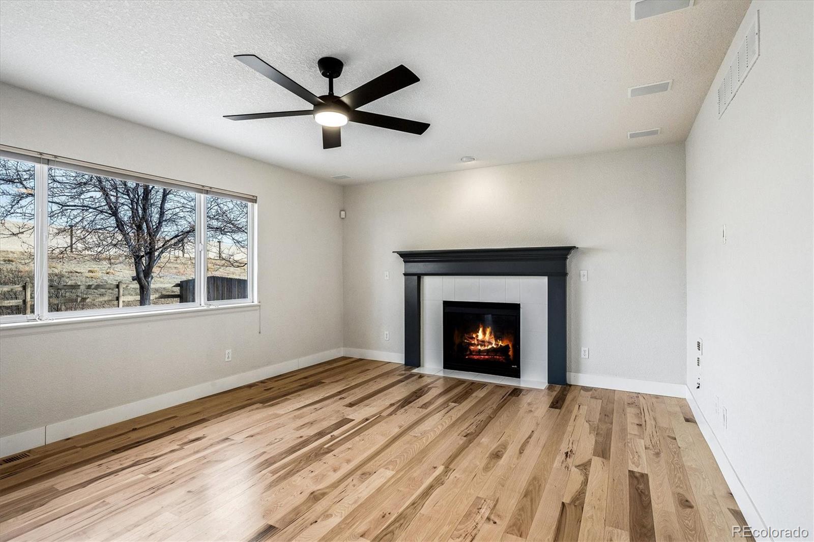 MLS Image #10 for 12505  swansea drive,parker, Colorado