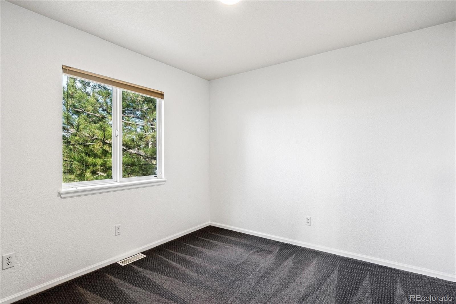 MLS Image #33 for 12505  swansea drive,parker, Colorado