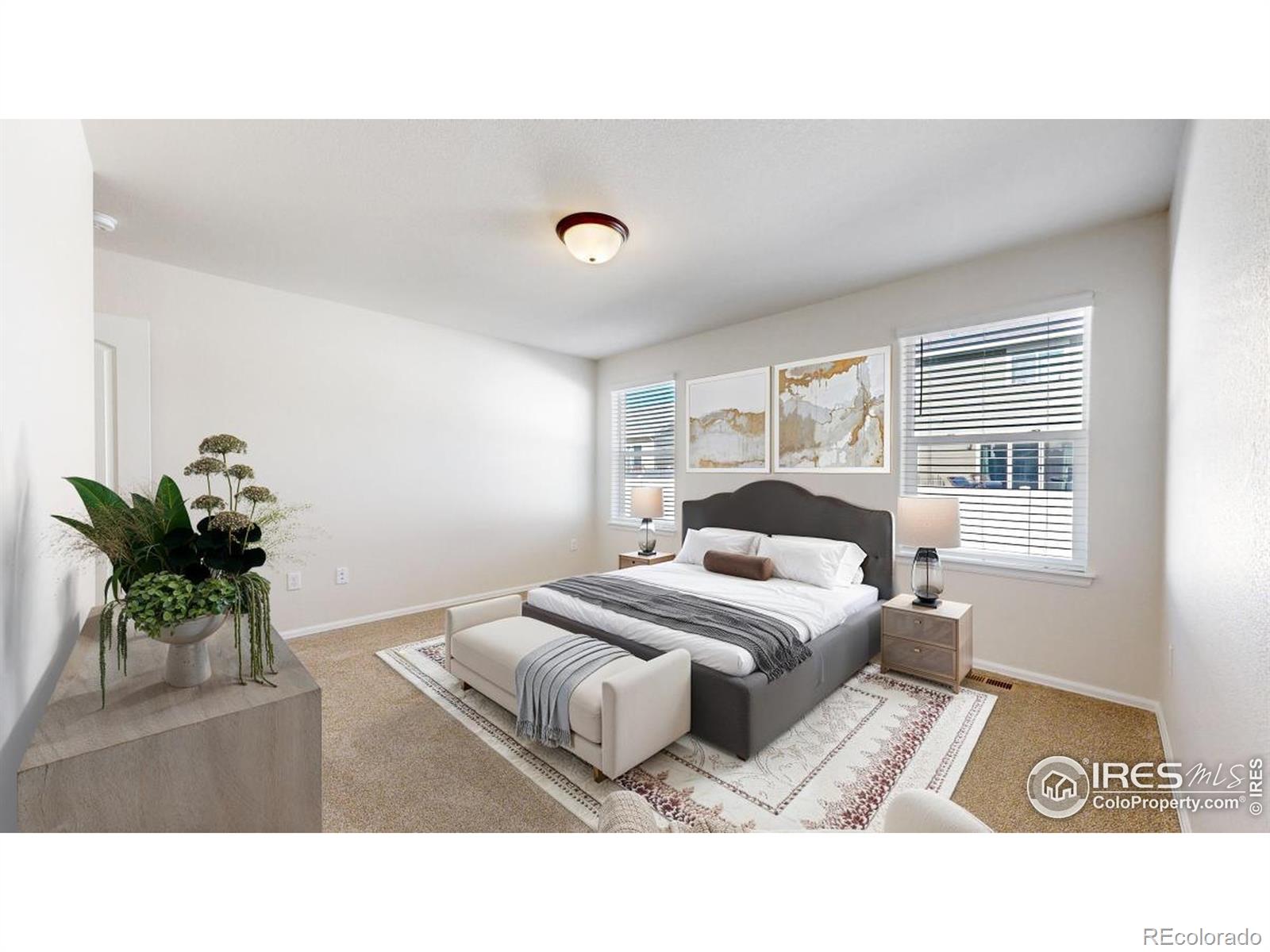 MLS Image #17 for 1104  ibex drive,severance, Colorado