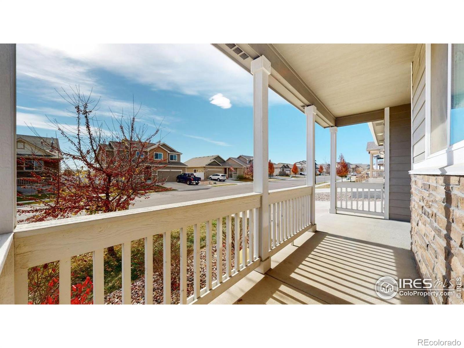 MLS Image #3 for 1104  ibex drive,severance, Colorado