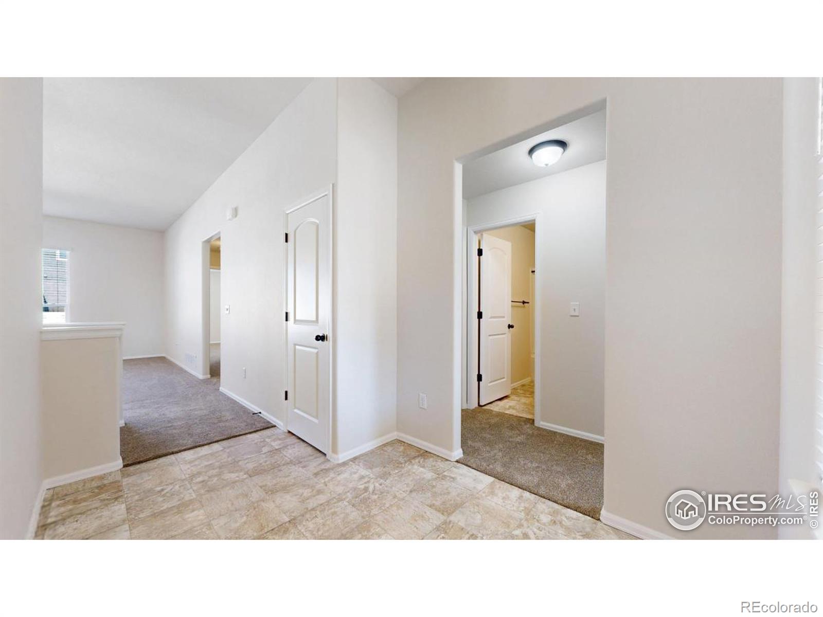 MLS Image #5 for 1104  ibex drive,severance, Colorado