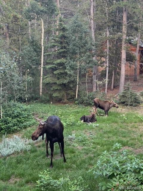MLS Image #31 for 220  timber road,black hawk, Colorado