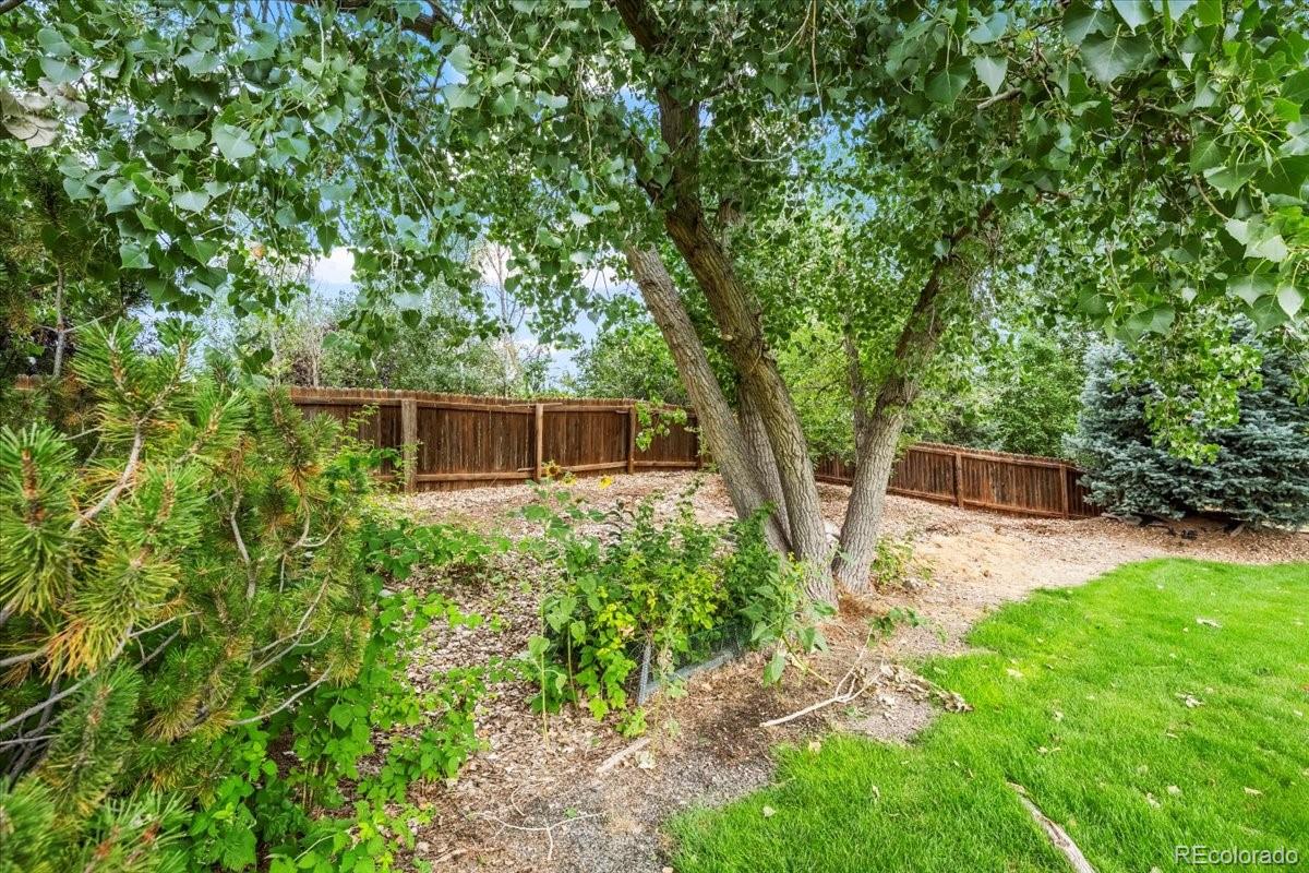 MLS Image #38 for 8001  raspberry drive,frederick, Colorado
