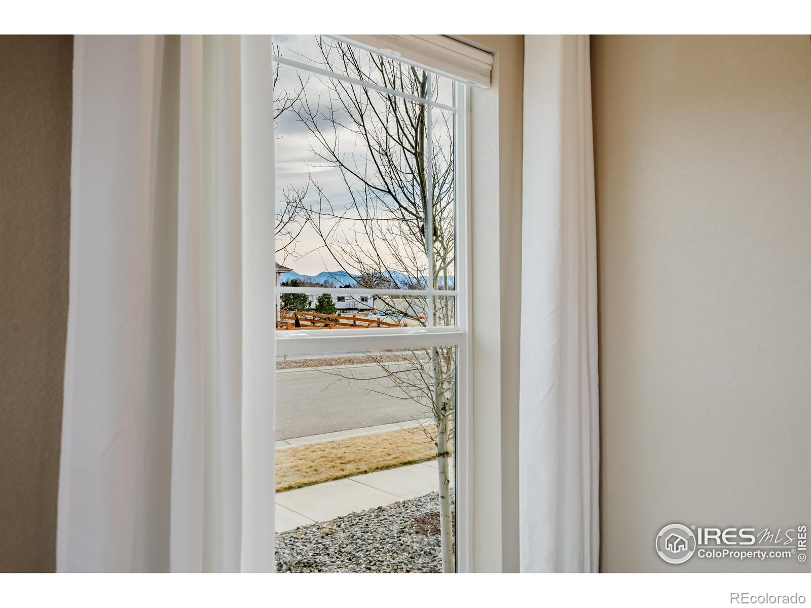 MLS Image #3 for 2197  lombardy street,longmont, Colorado