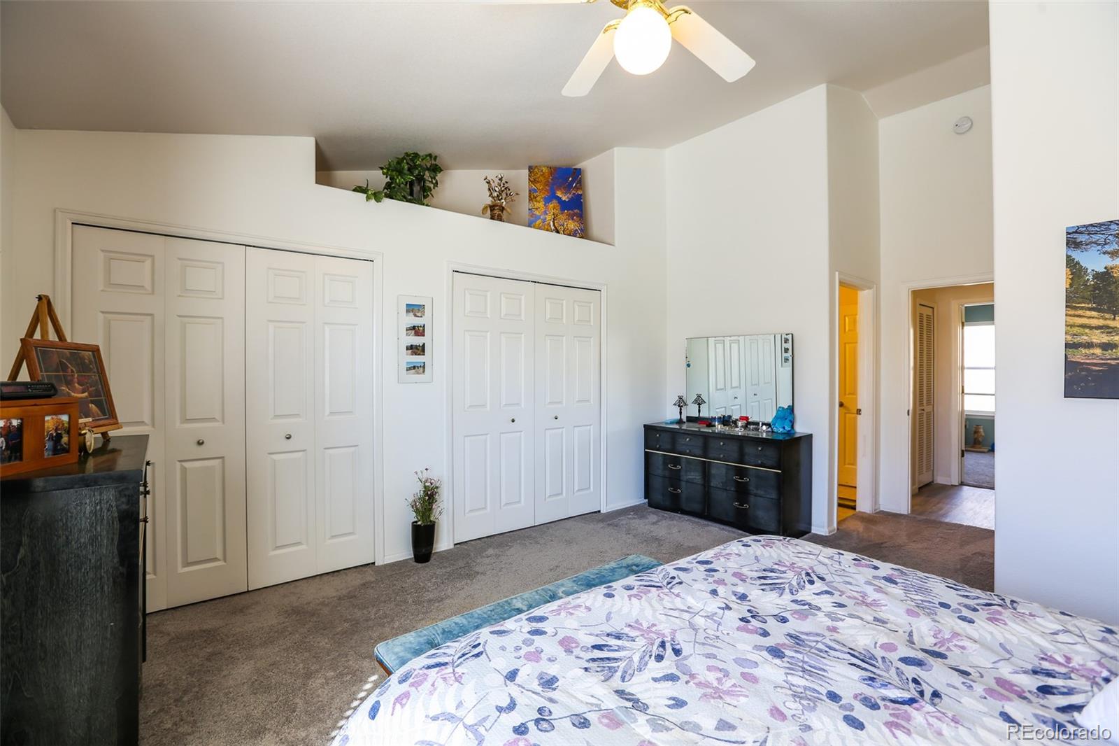 MLS Image #20 for 2026  austrian way ,colorado springs, Colorado