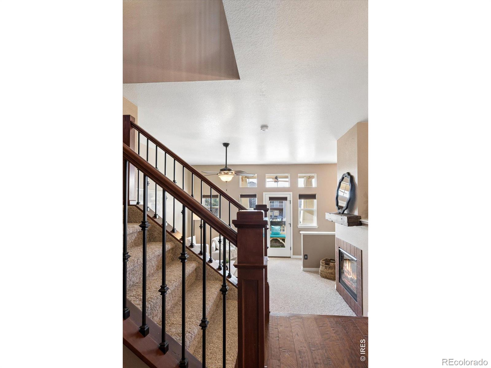 MLS Image #13 for 1535  venice lane,longmont, Colorado