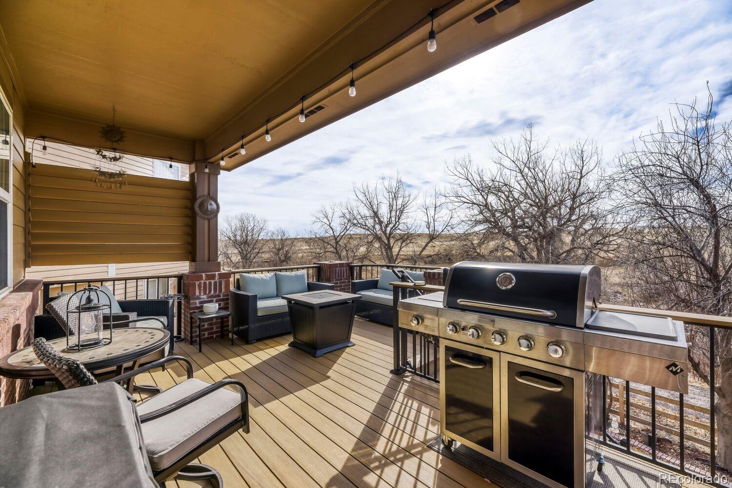 MLS Image #24 for 10154  severn lane,parker, Colorado