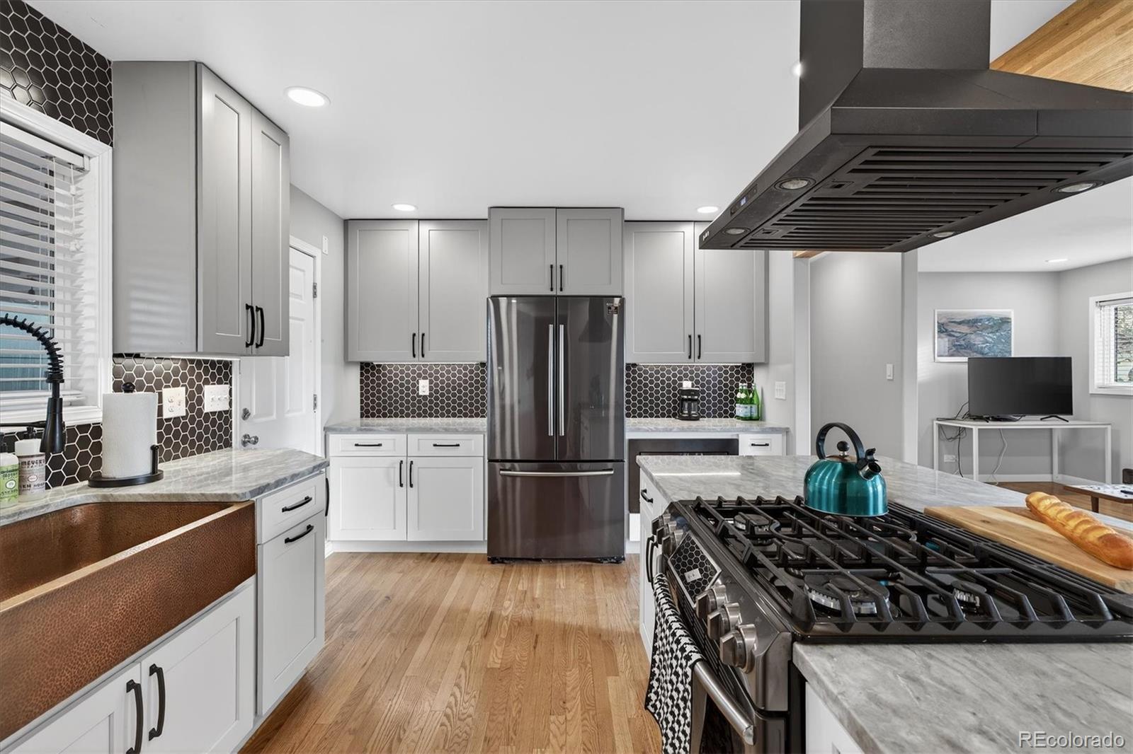 MLS Image #3 for 1299 s raritan street,denver, Colorado