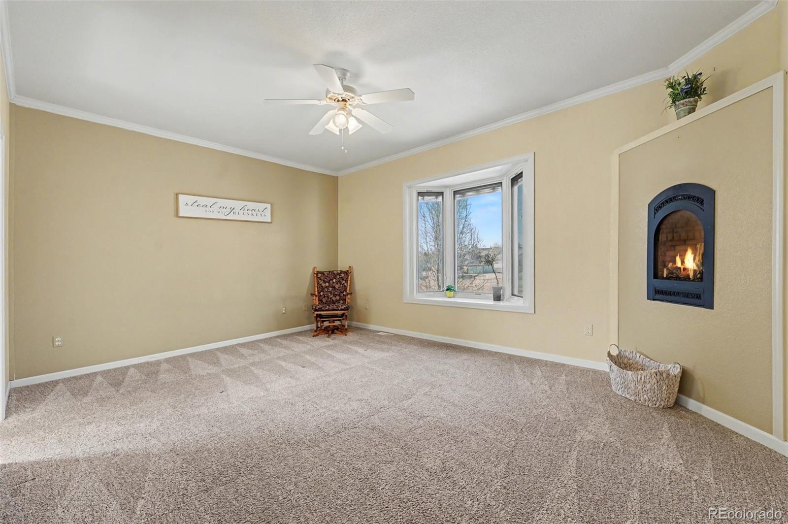 MLS Image #11 for 4725  desert candle drive,pueblo, Colorado