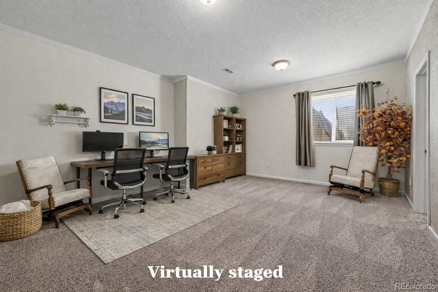 MLS Image #27 for 4725  desert candle drive,pueblo, Colorado