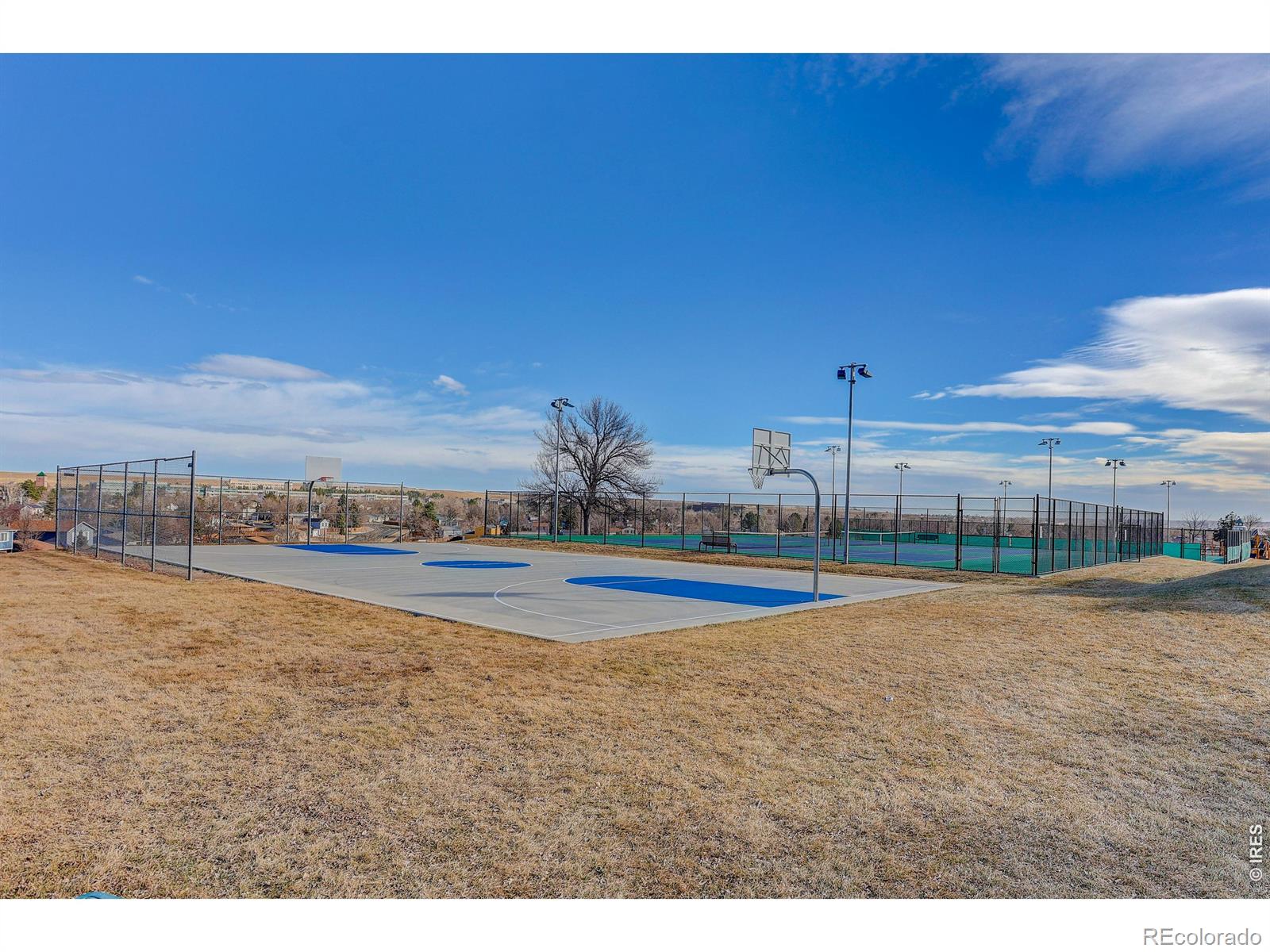 MLS Image #33 for 10696  newcombe street,westminster, Colorado