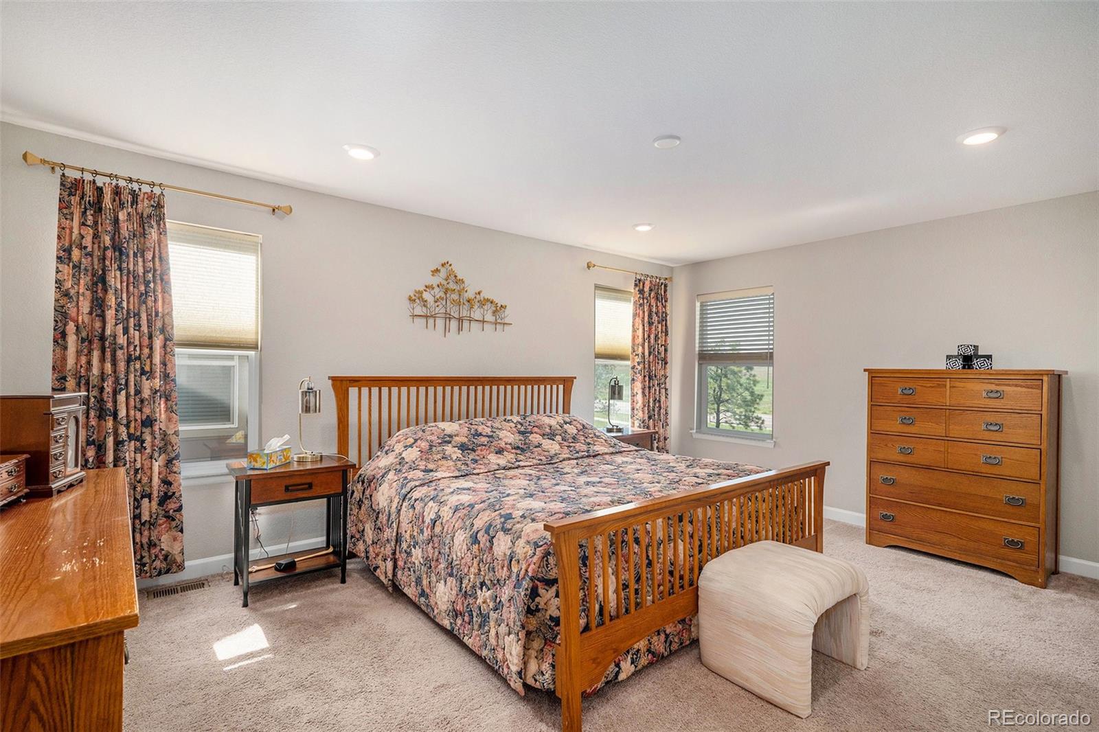 MLS Image #18 for 6193  saddle bow avenue,parker, Colorado