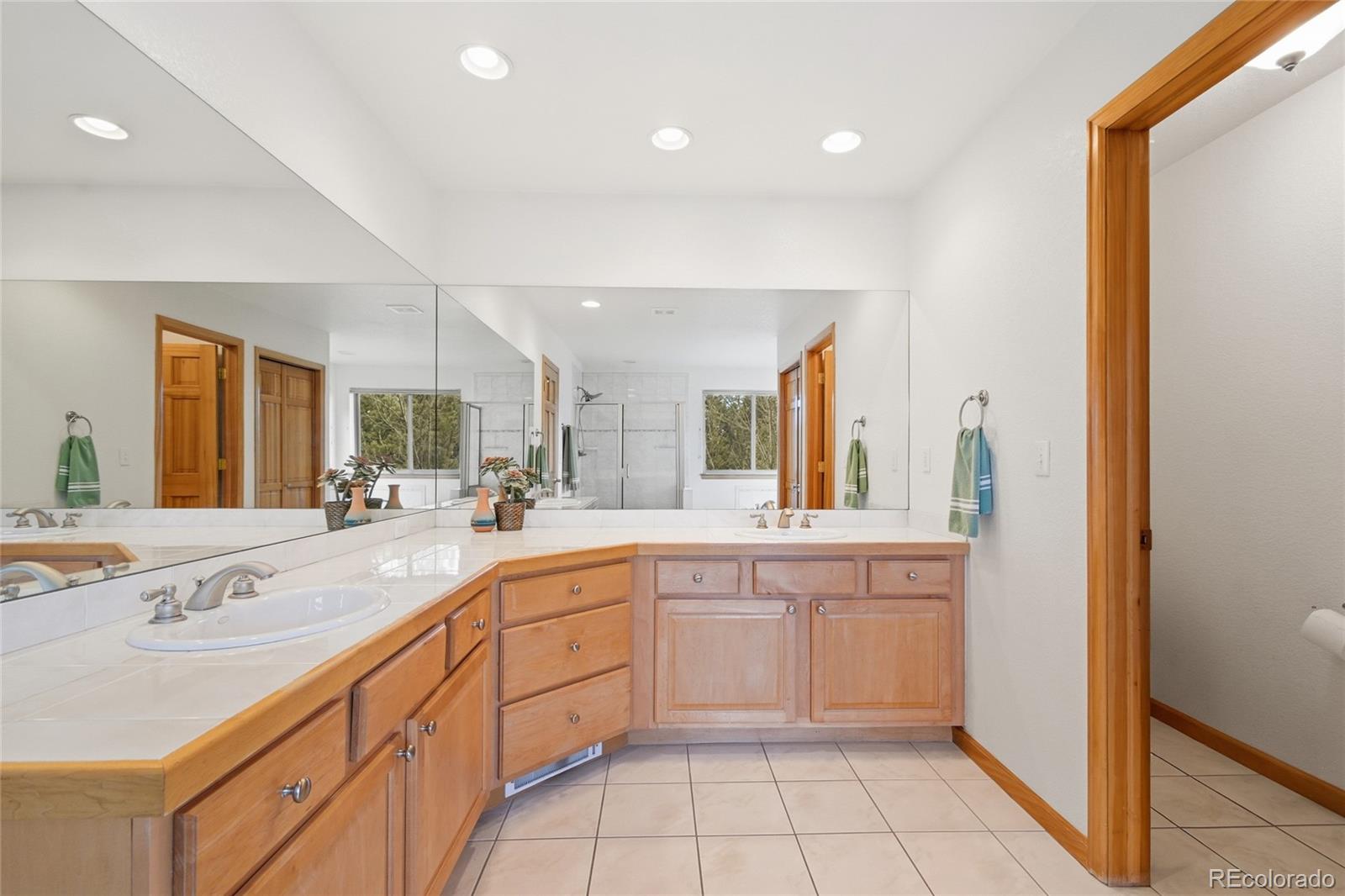 MLS Image #12 for 26248  snowdrop road,evergreen, Colorado
