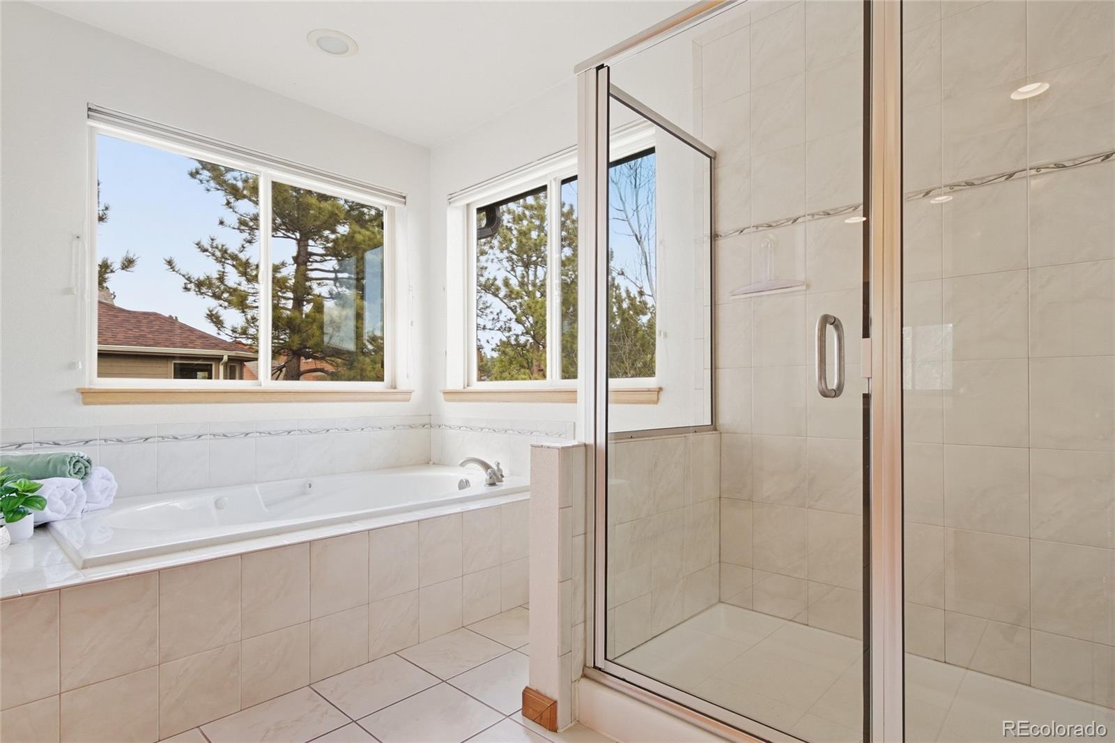 MLS Image #13 for 26248  snowdrop road,evergreen, Colorado