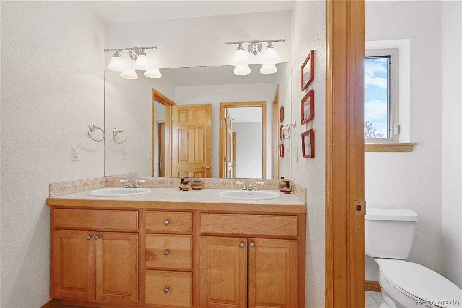 MLS Image #16 for 26248  snowdrop road,evergreen, Colorado