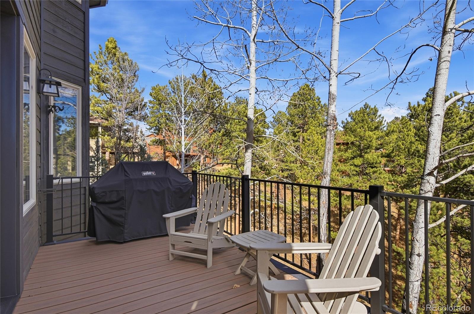 MLS Image #8 for 26248  snowdrop road,evergreen, Colorado