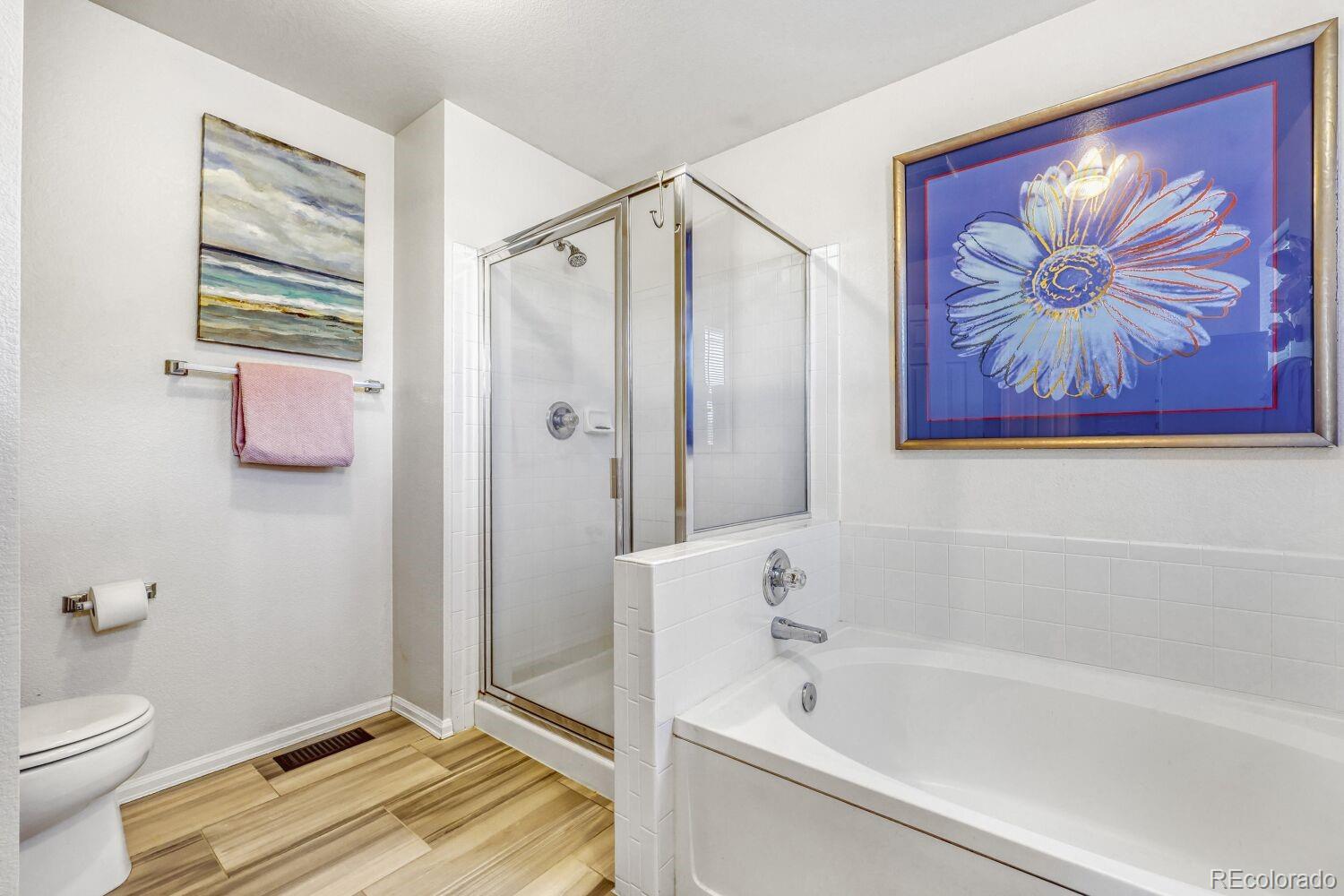 MLS Image #14 for 1272  ballata court,castle rock, Colorado