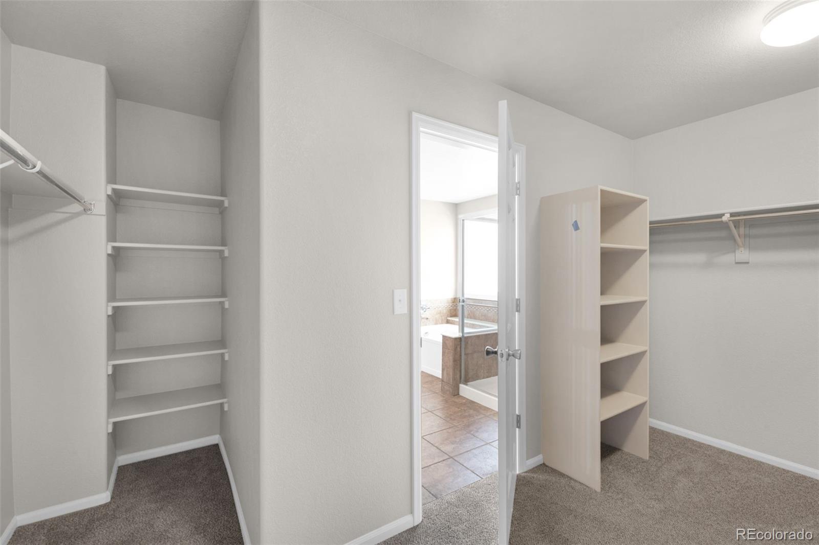 MLS Image #21 for 444  high plains street,castle rock, Colorado