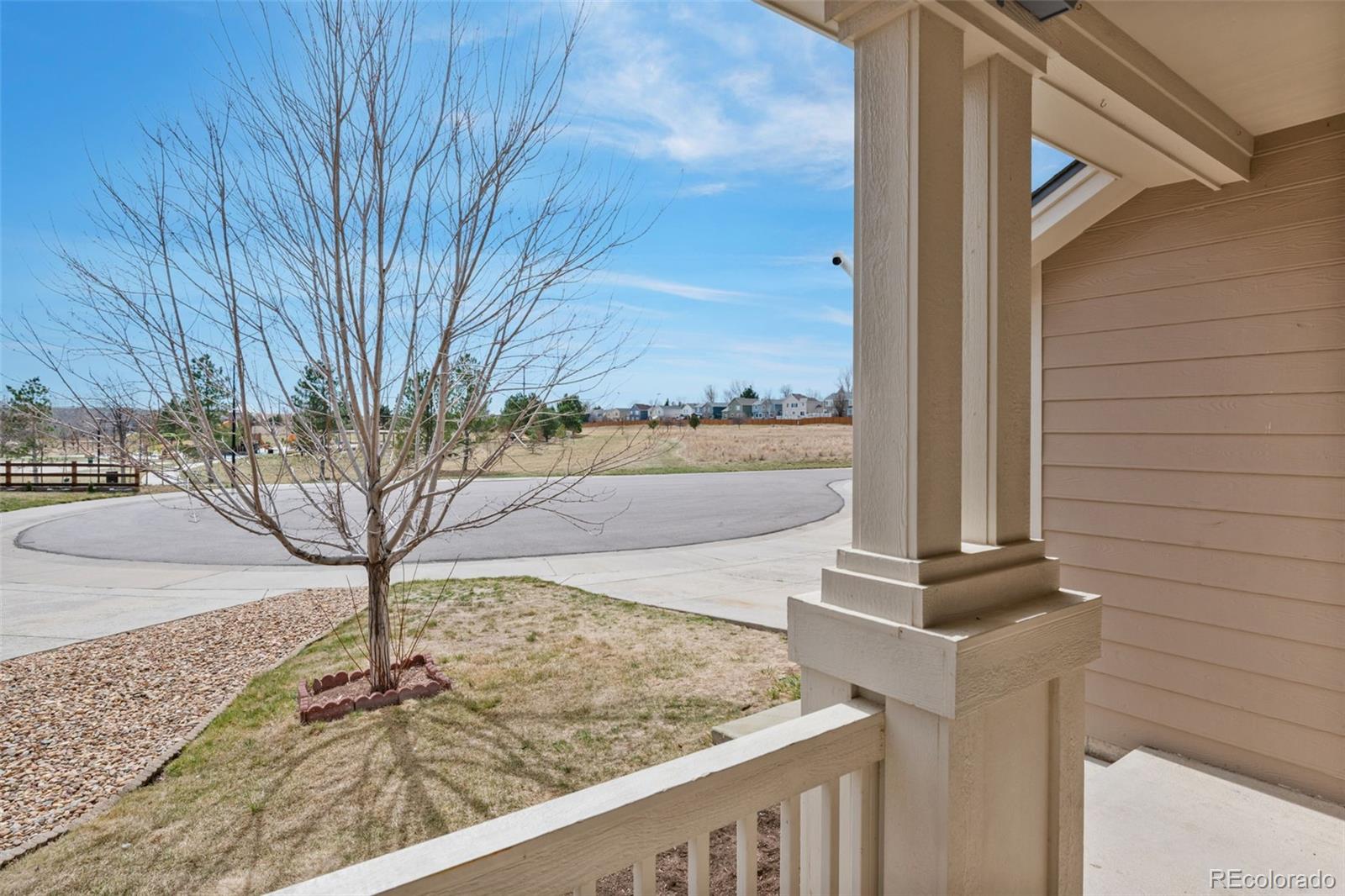 MLS Image #45 for 444  high plains street,castle rock, Colorado