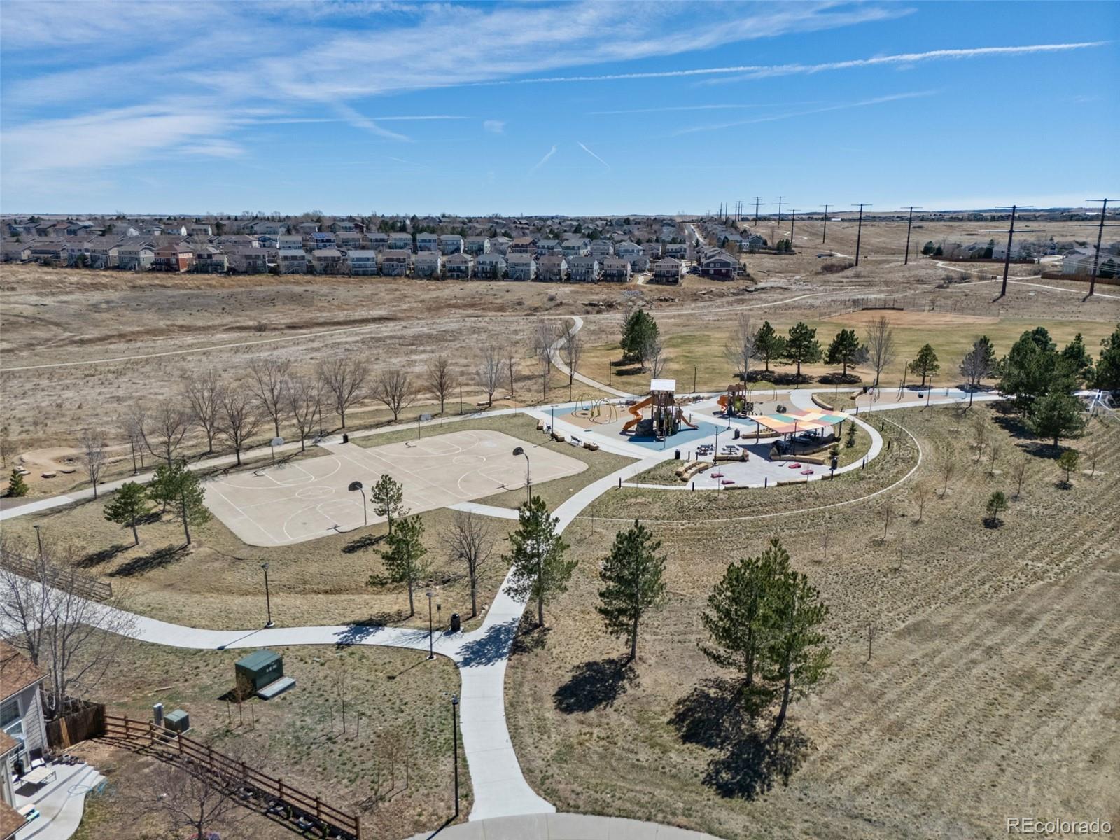 MLS Image #46 for 444  high plains street,castle rock, Colorado