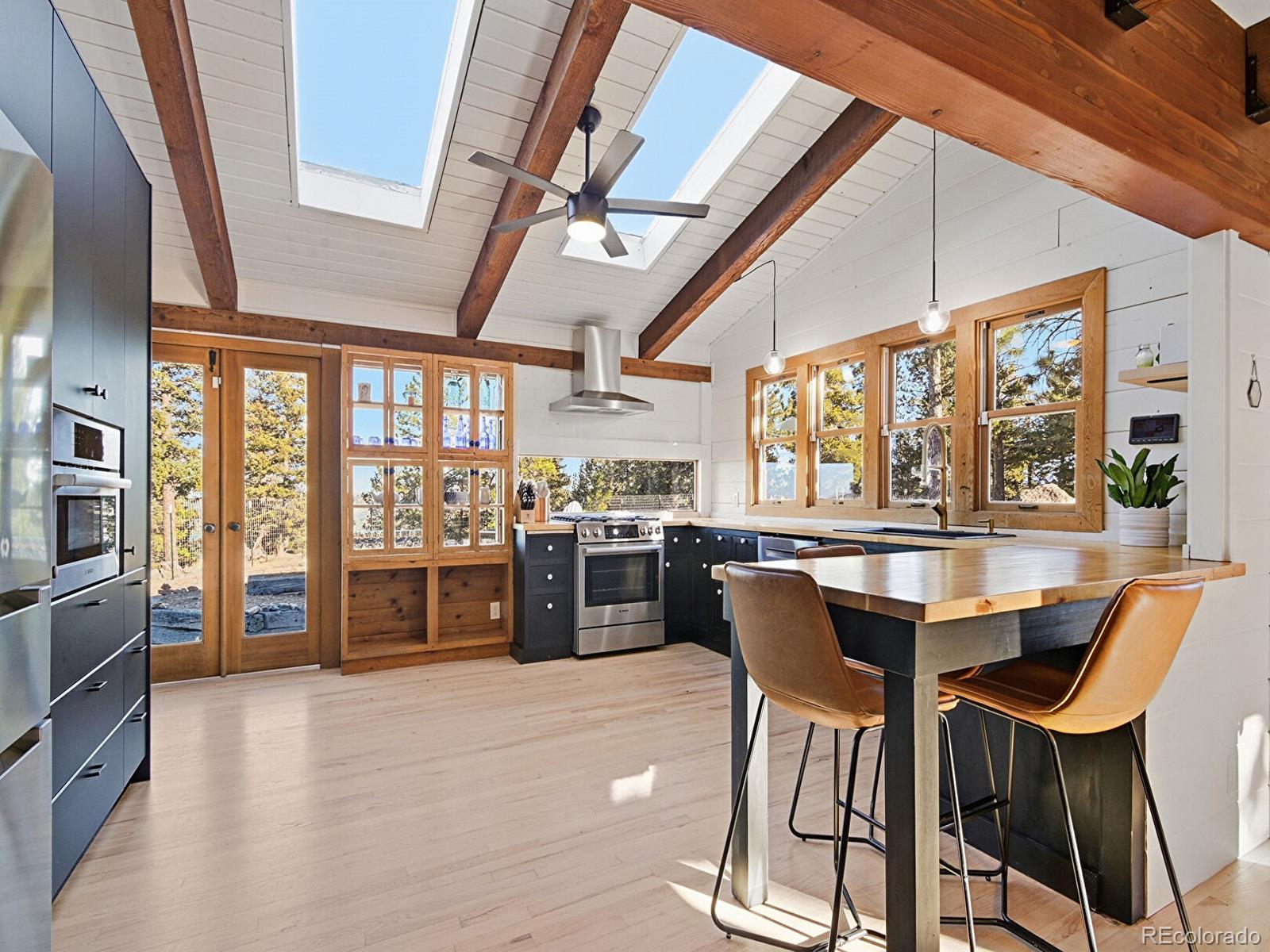 MLS Image #13 for 30908  isenberg lane,evergreen, Colorado
