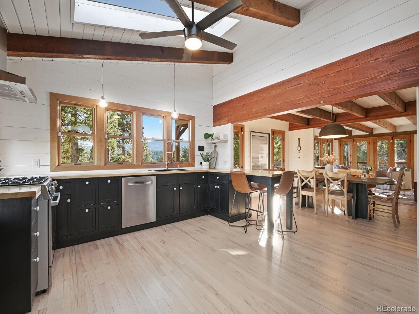 MLS Image #14 for 30908  isenberg lane,evergreen, Colorado