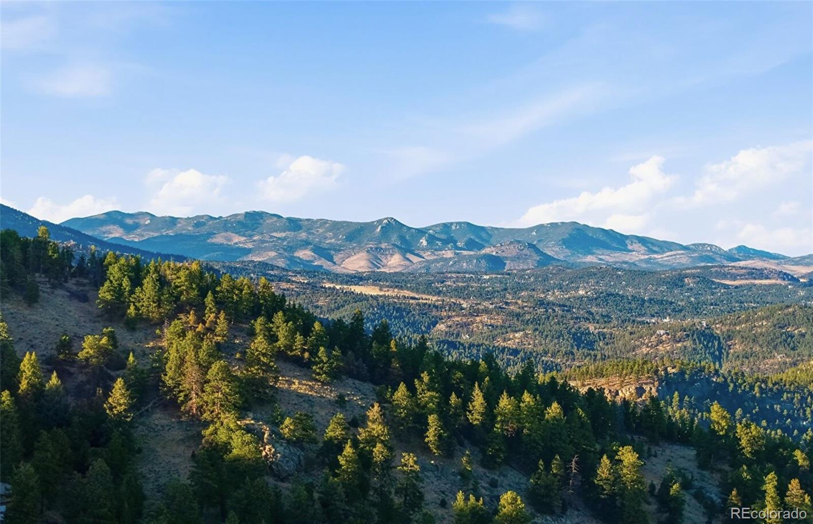 MLS Image #46 for 30908  isenberg lane,evergreen, Colorado