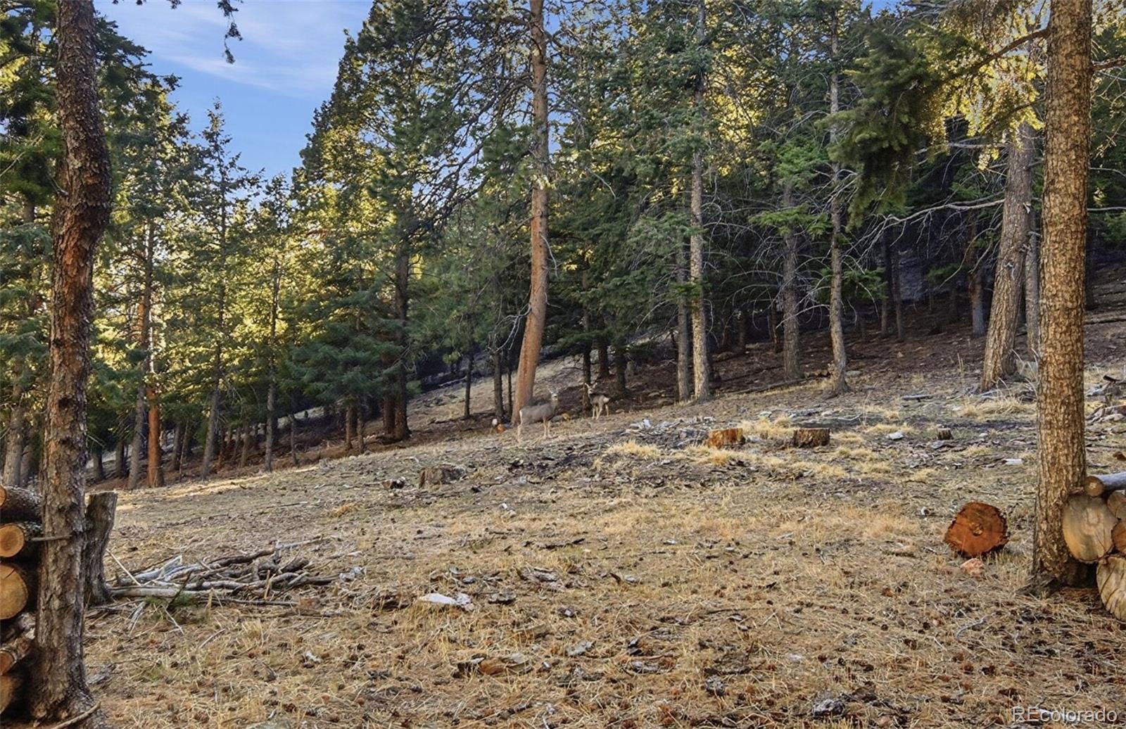 MLS Image #47 for 30908  isenberg lane,evergreen, Colorado