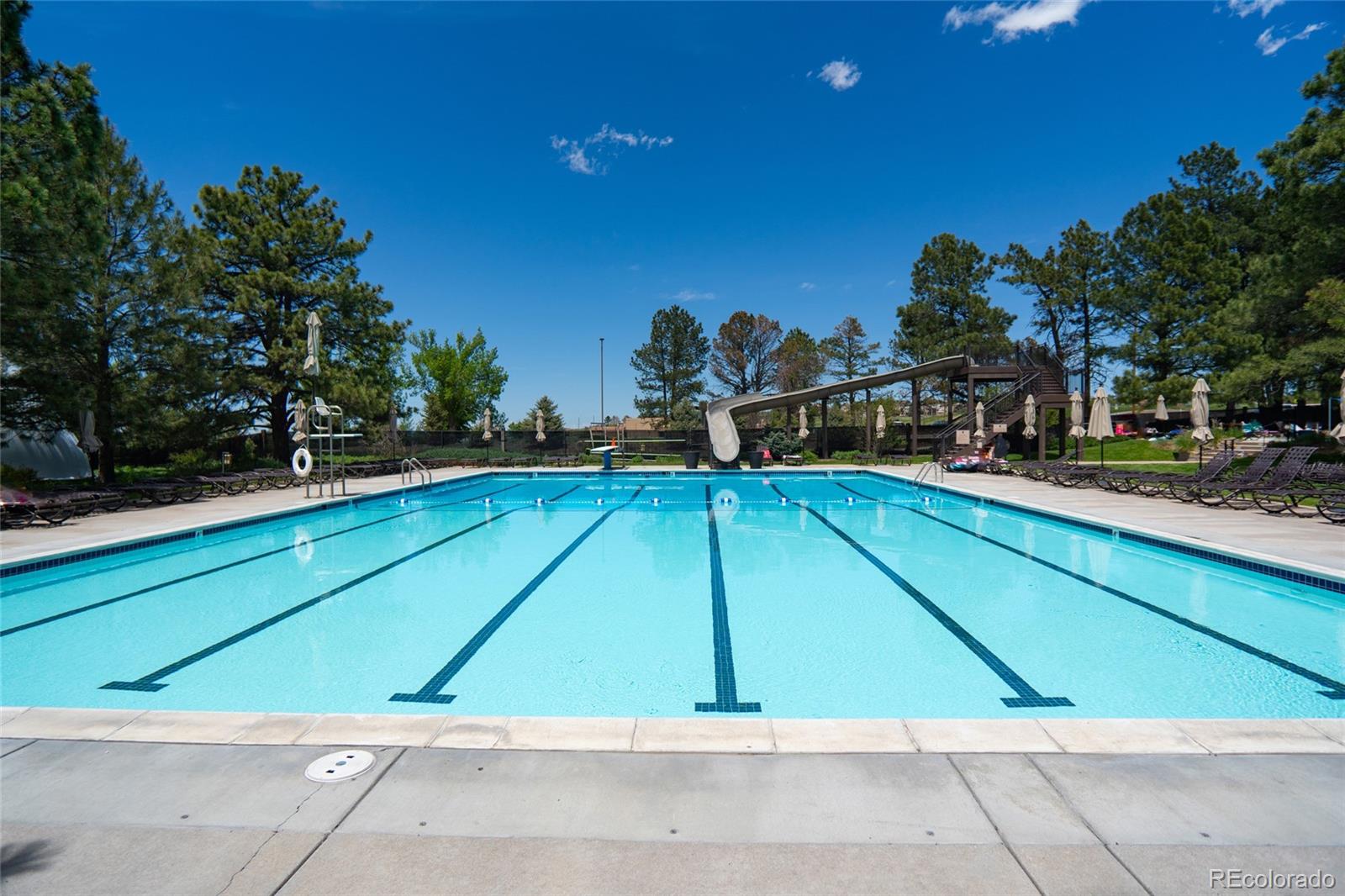 MLS Image #32 for 6019  belmont way,parker, Colorado
