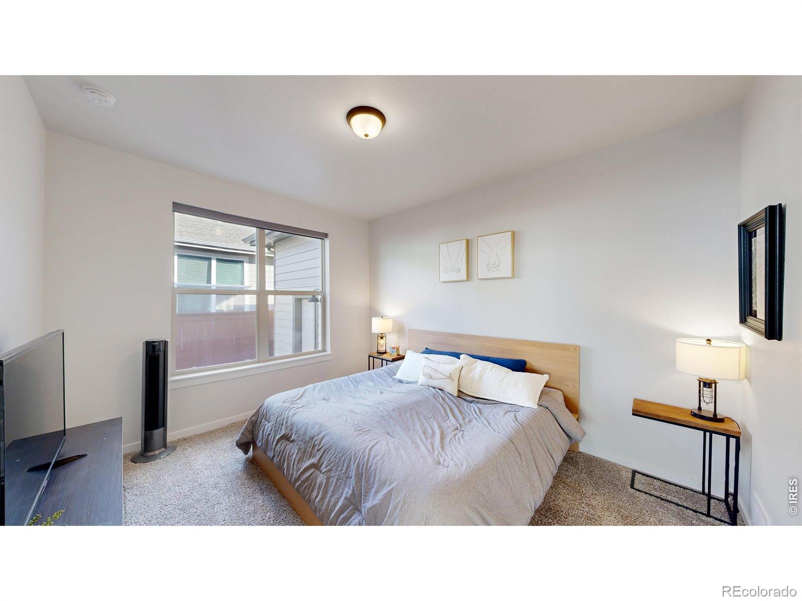 MLS Image #14 for 2088  falling leaf drive,windsor, Colorado