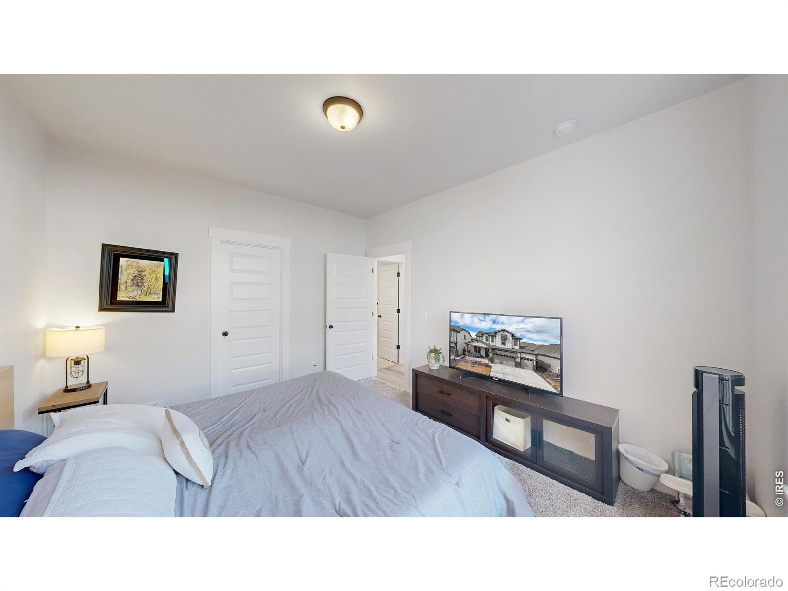 MLS Image #16 for 2088  falling leaf drive,windsor, Colorado