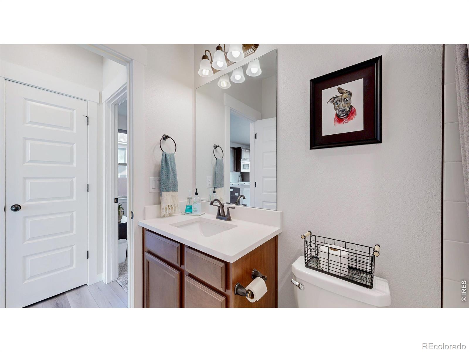 MLS Image #18 for 2088  falling leaf drive,windsor, Colorado
