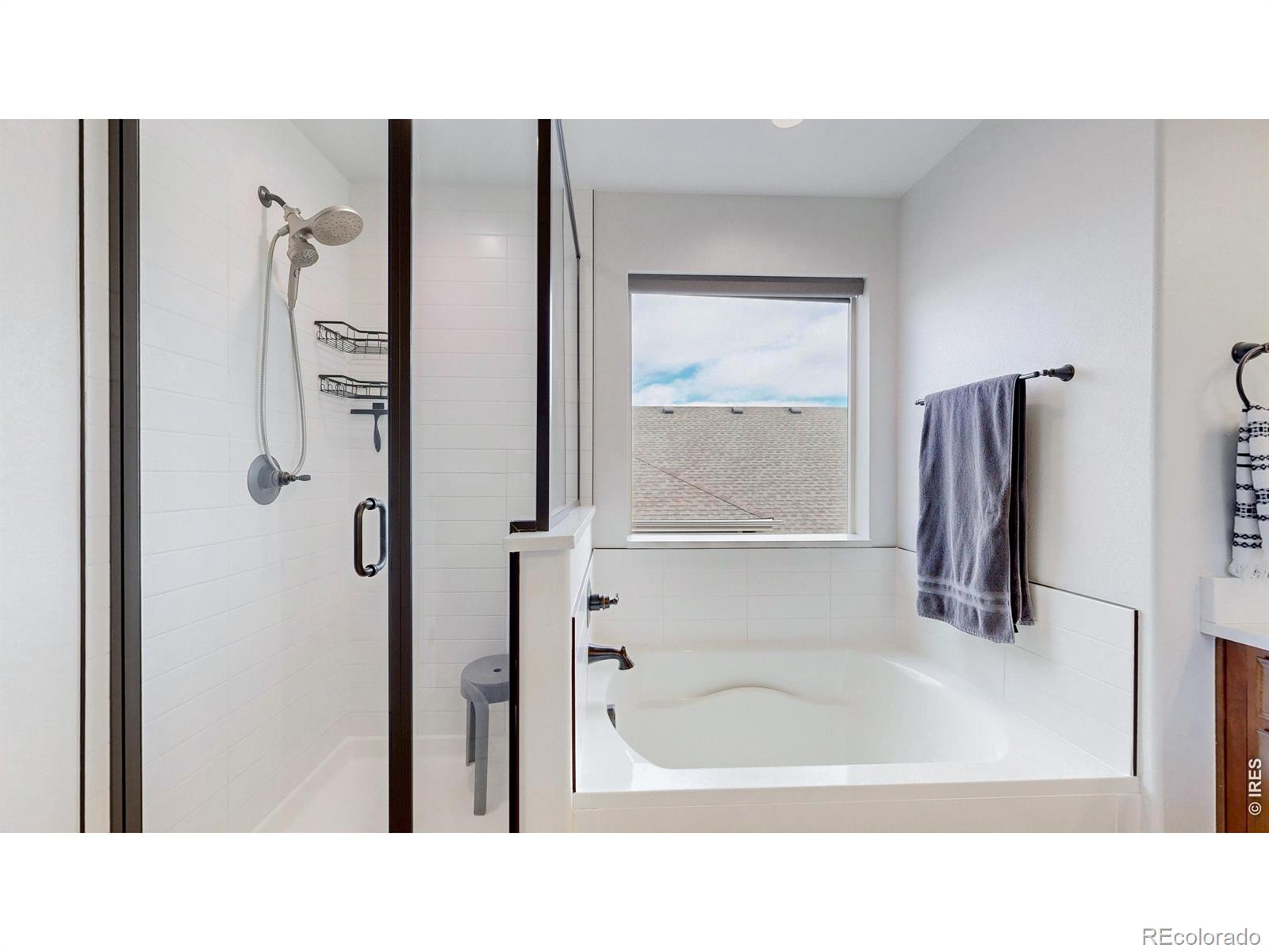 MLS Image #24 for 2088  falling leaf drive,windsor, Colorado