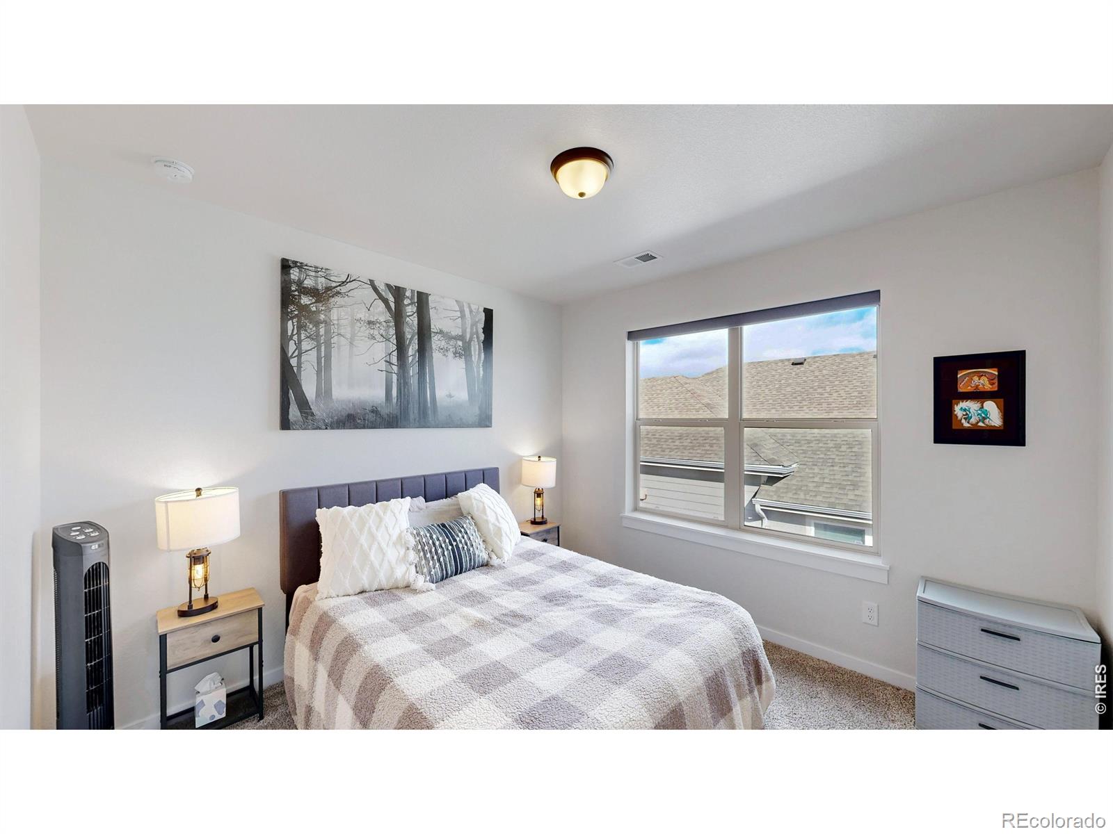 MLS Image #28 for 2088  falling leaf drive,windsor, Colorado