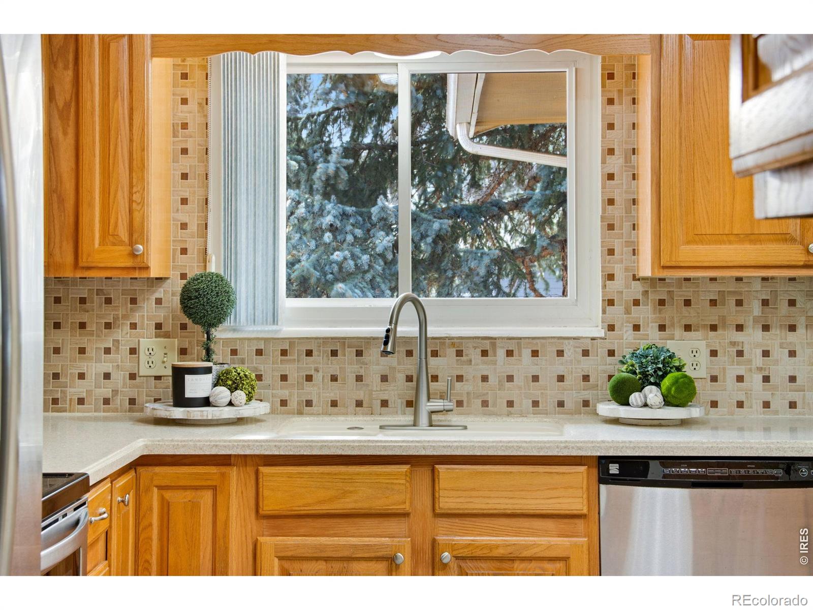 MLS Image #20 for 300  ruth street,fort collins, Colorado
