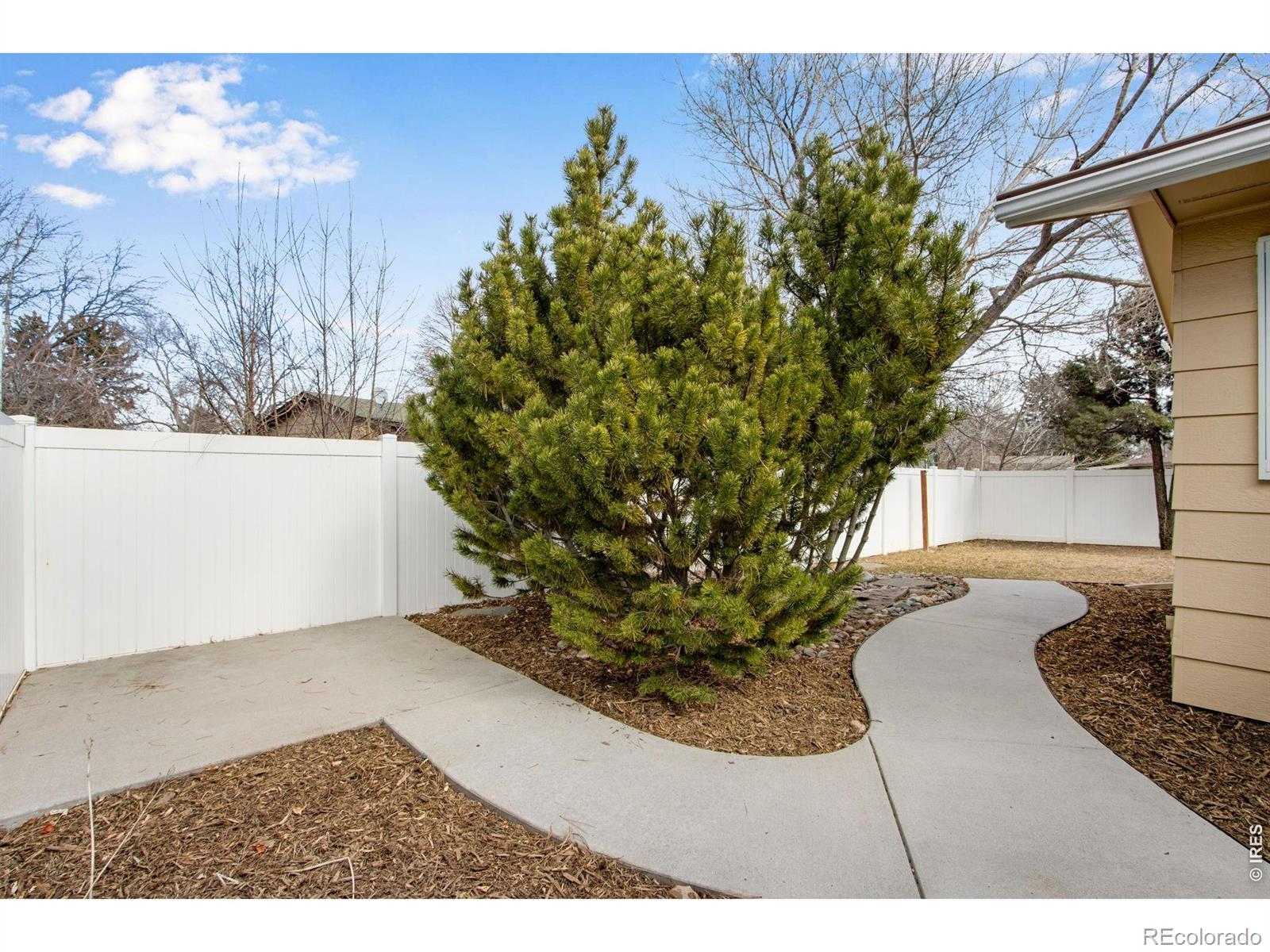 MLS Image #4 for 300  ruth street,fort collins, Colorado