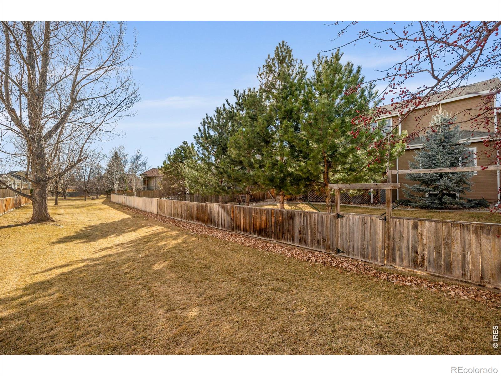 MLS Image #40 for 4220  applegate court,fort collins, Colorado