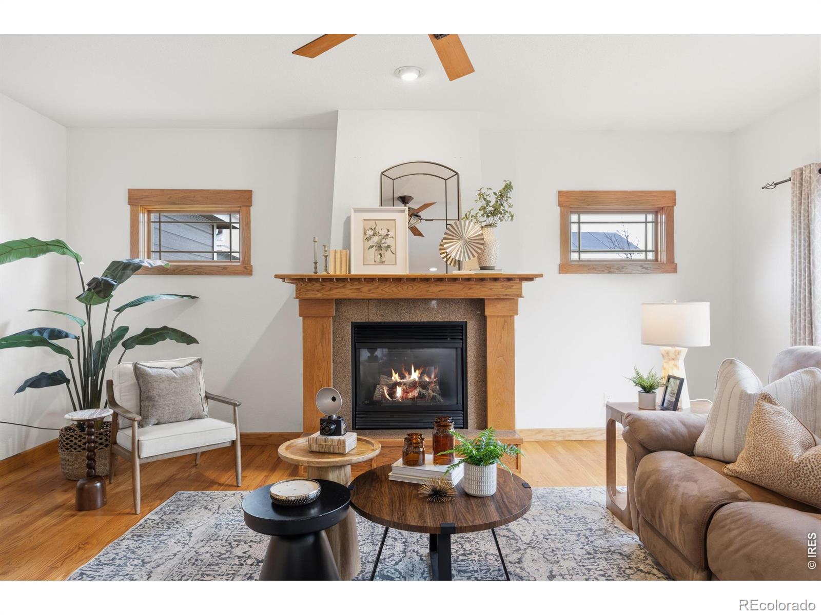 MLS Image #8 for 4220  applegate court,fort collins, Colorado