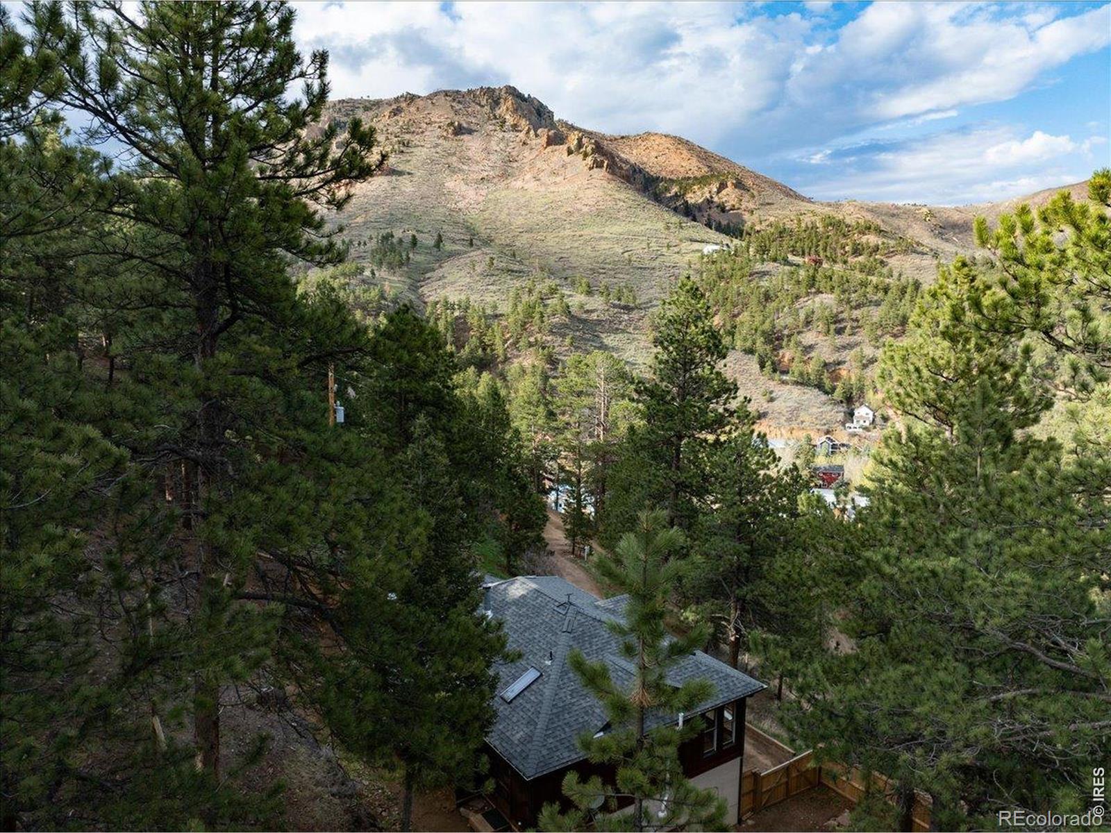 MLS Image #21 for 101  spruce street,jamestown, Colorado