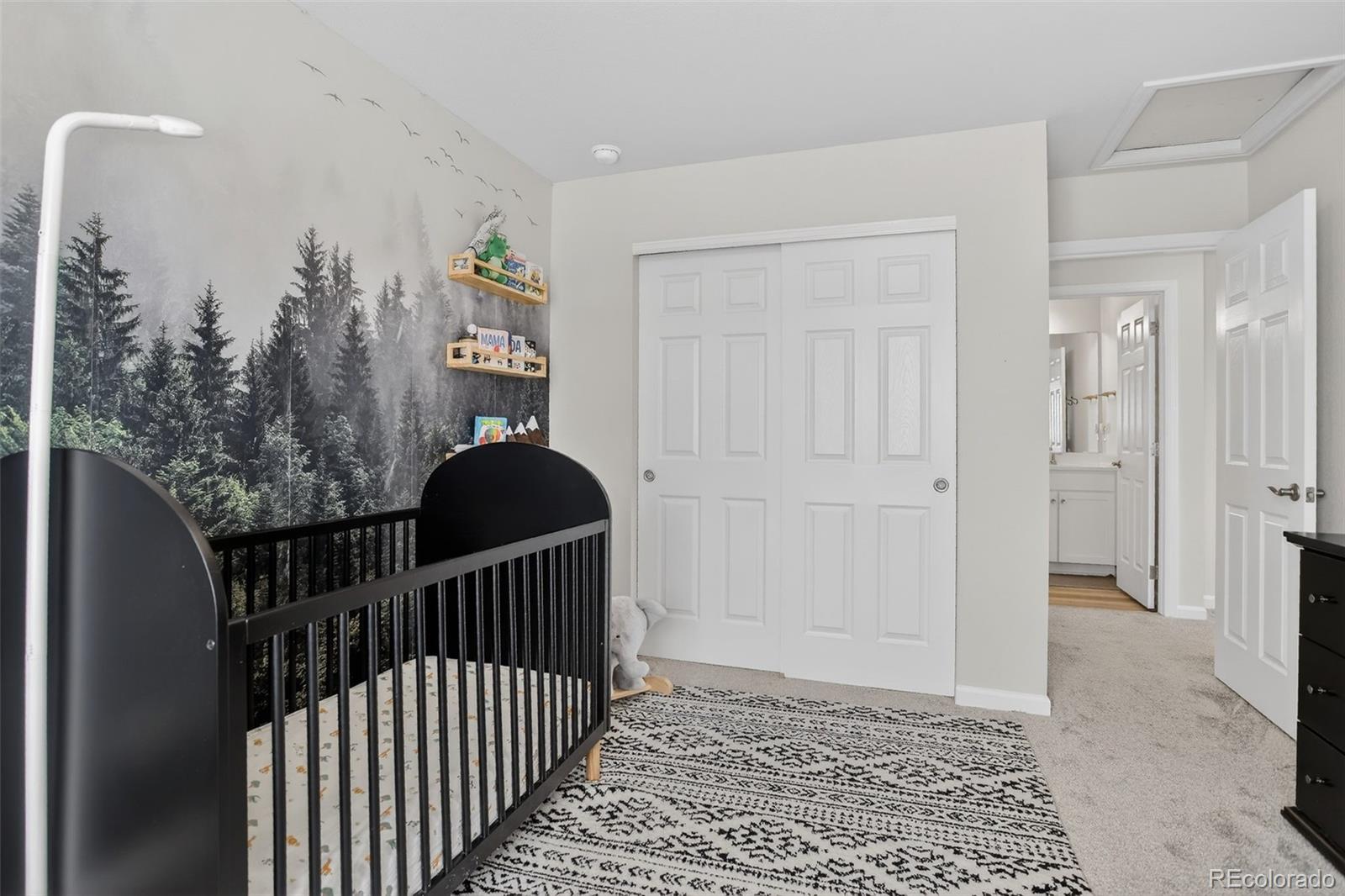 MLS Image #33 for 166 s waterloo street,aurora, Colorado