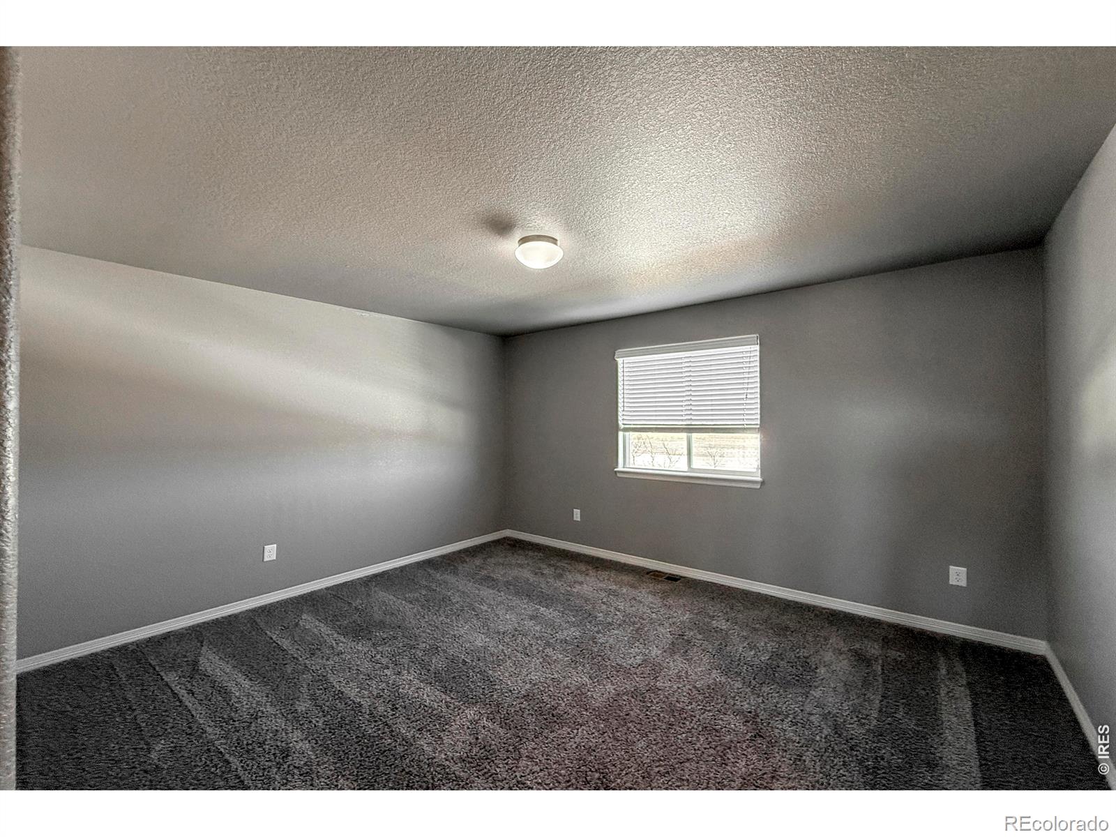 MLS Image #29 for 6082  carmon drive,windsor, Colorado